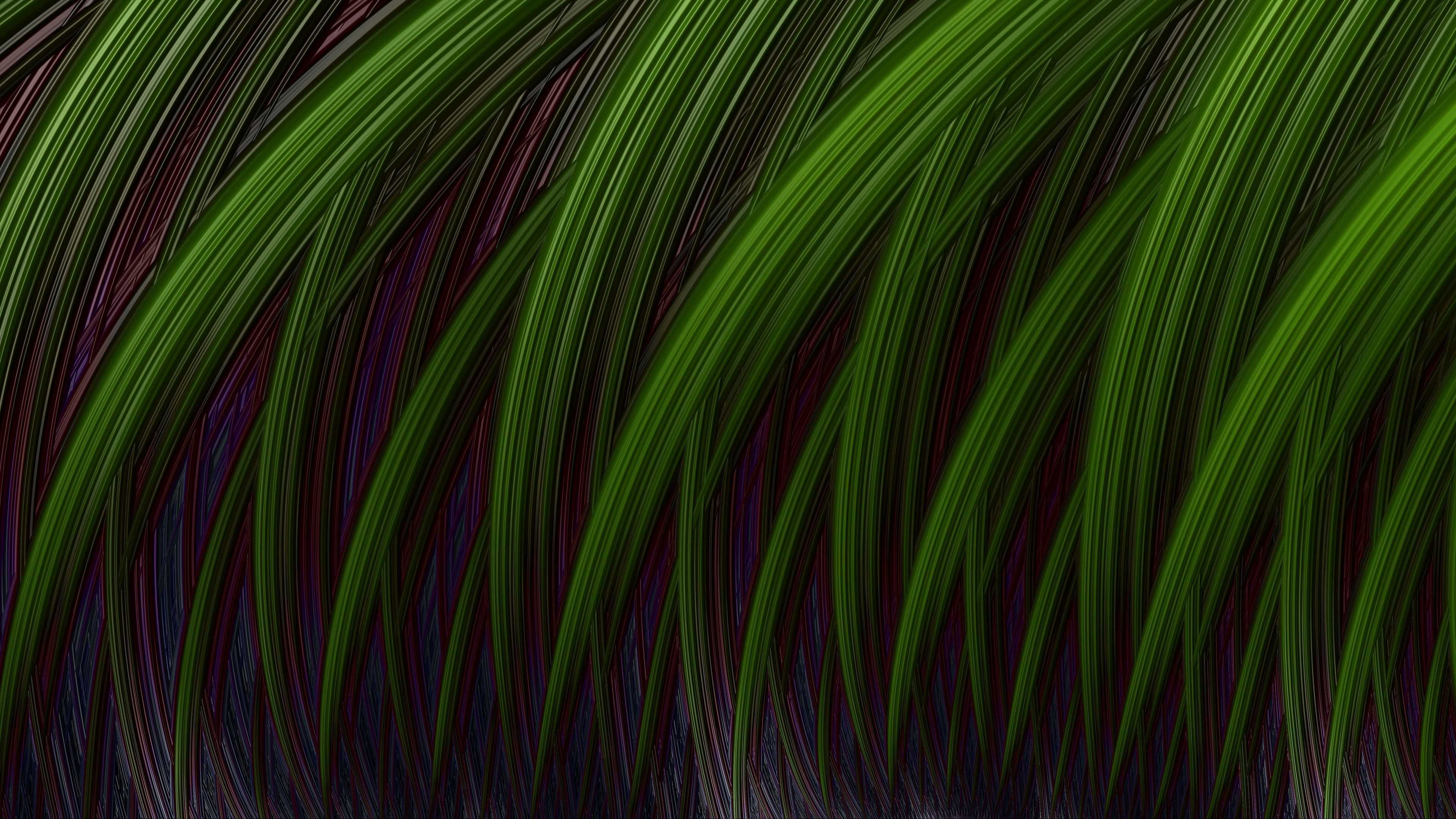 lines, stripes, fractal, texture, 4k, HD Wallpaper