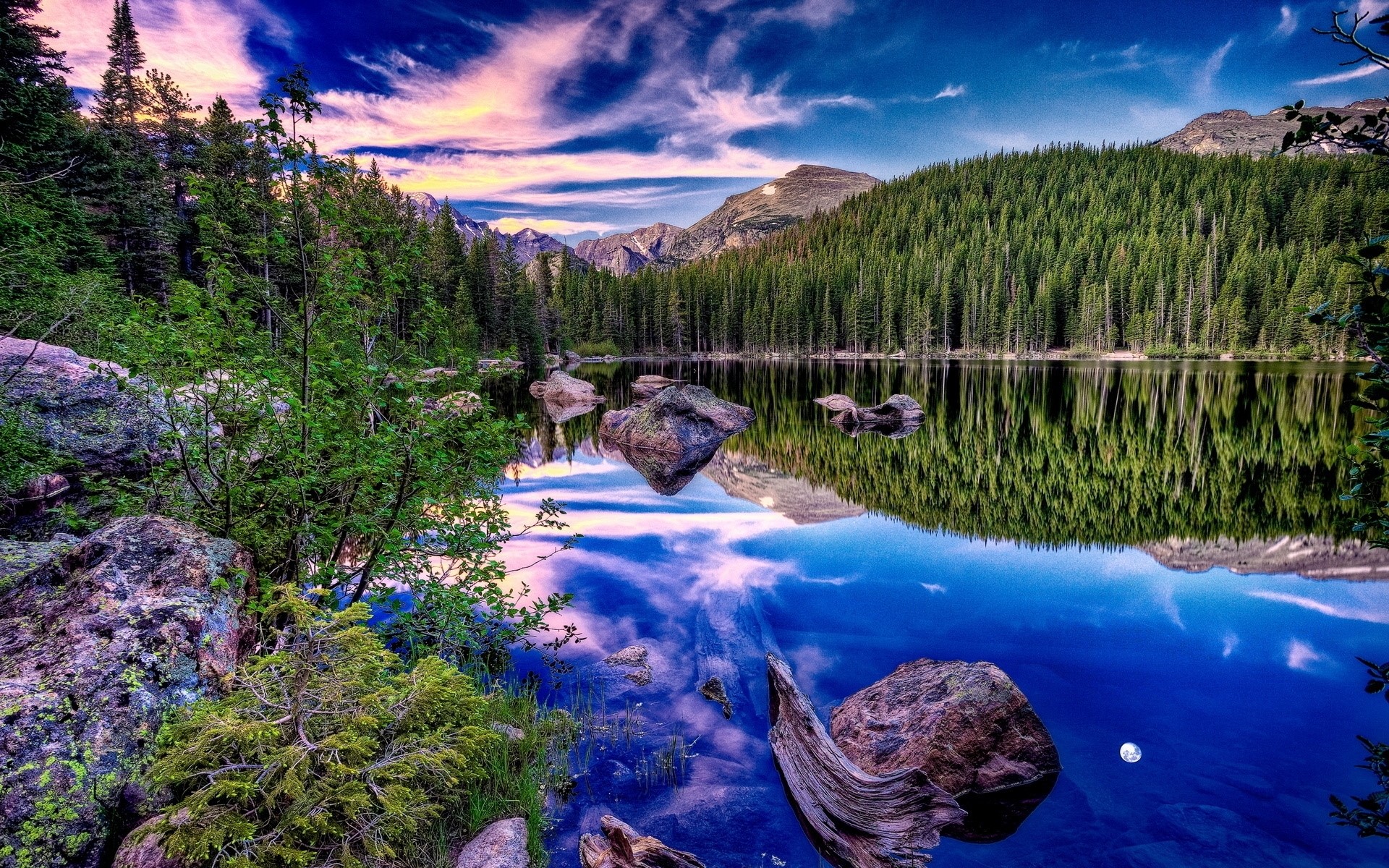 nature, landscape, reflection, forest, trees, pine trees, HD Wallpaper