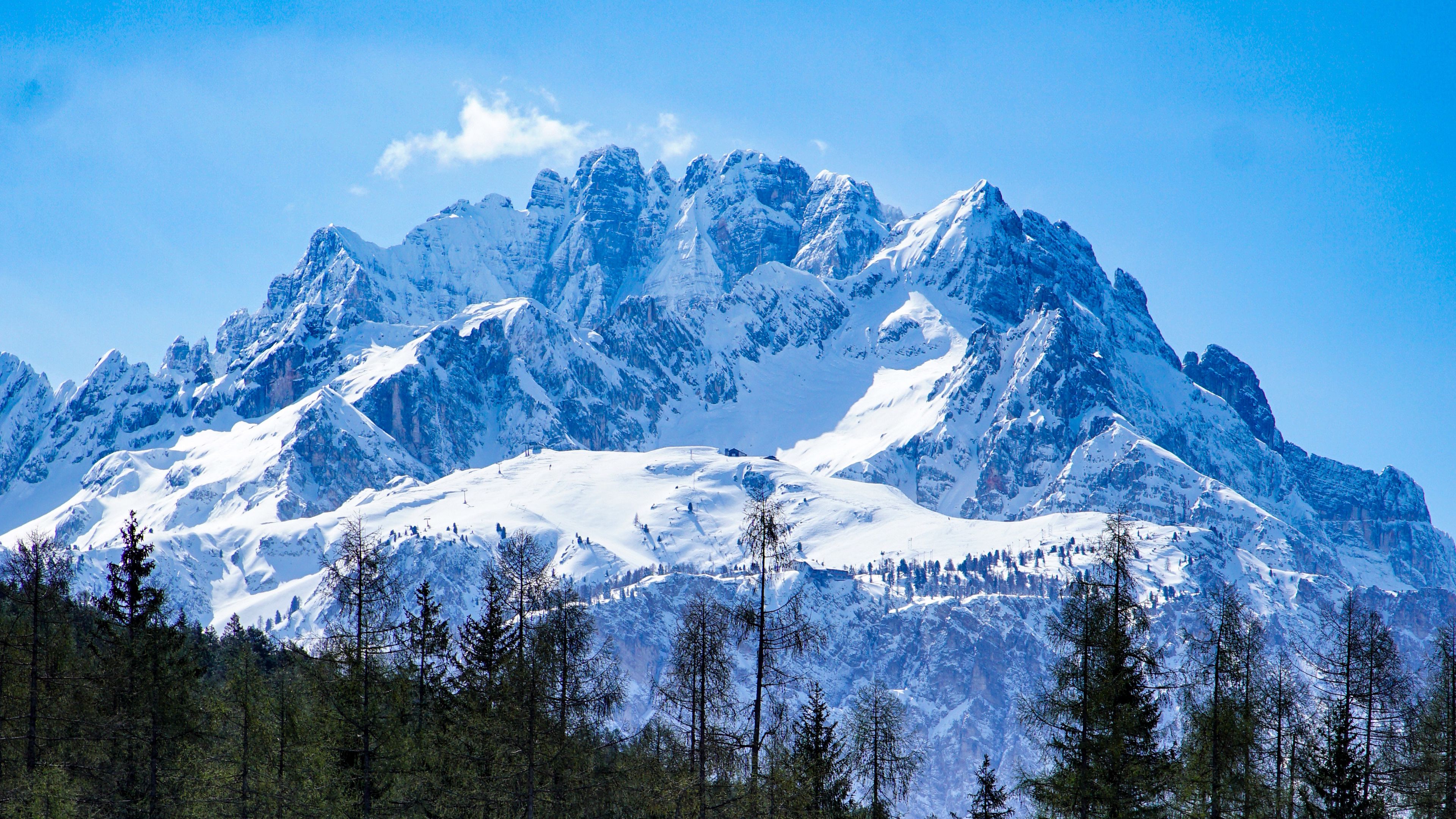 mountains, forest, landscape, top, snow, trees, 4k, HD Wallpaper