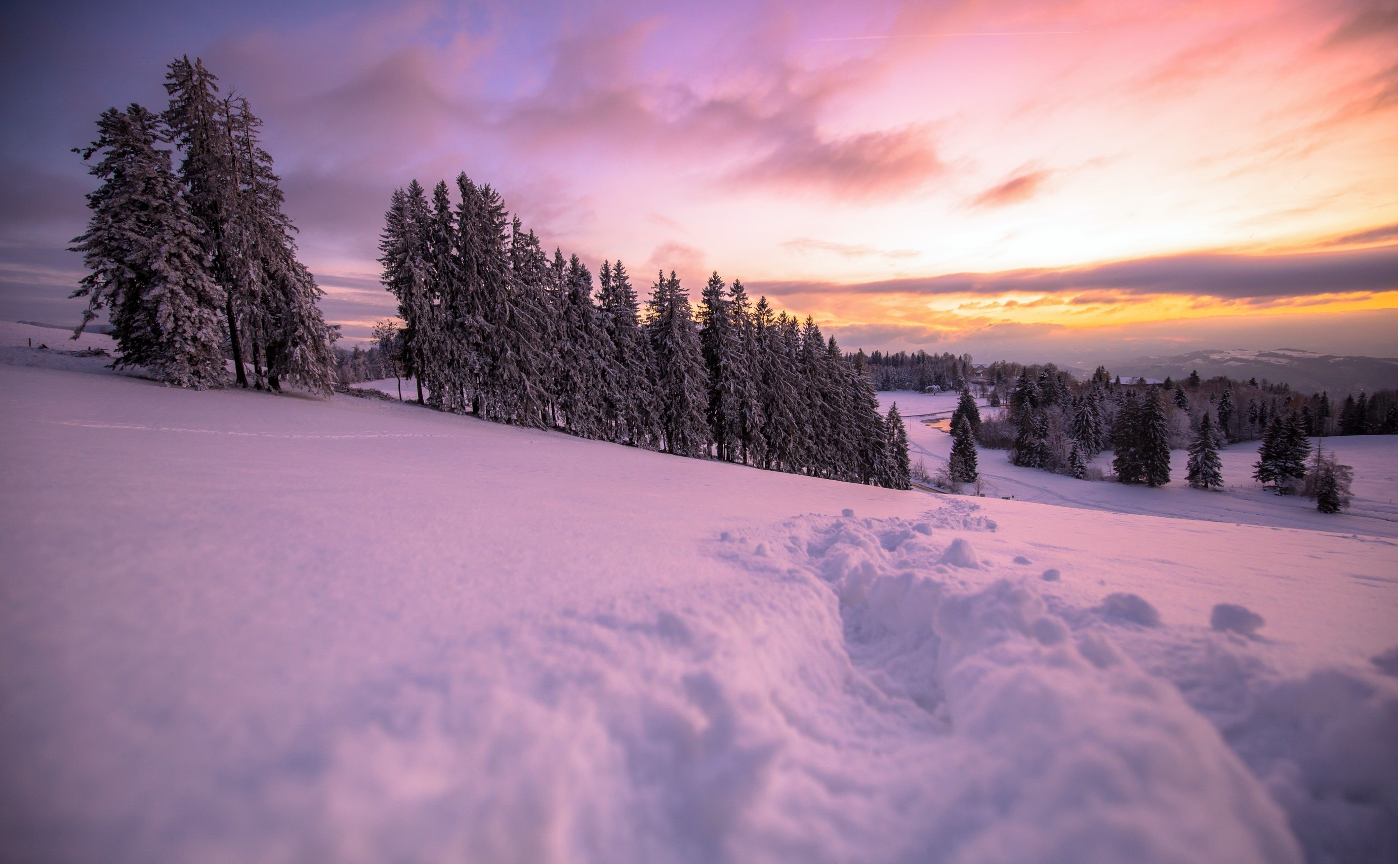 winter, sky, nature, landscape, trees, snow, HD Wallpaper