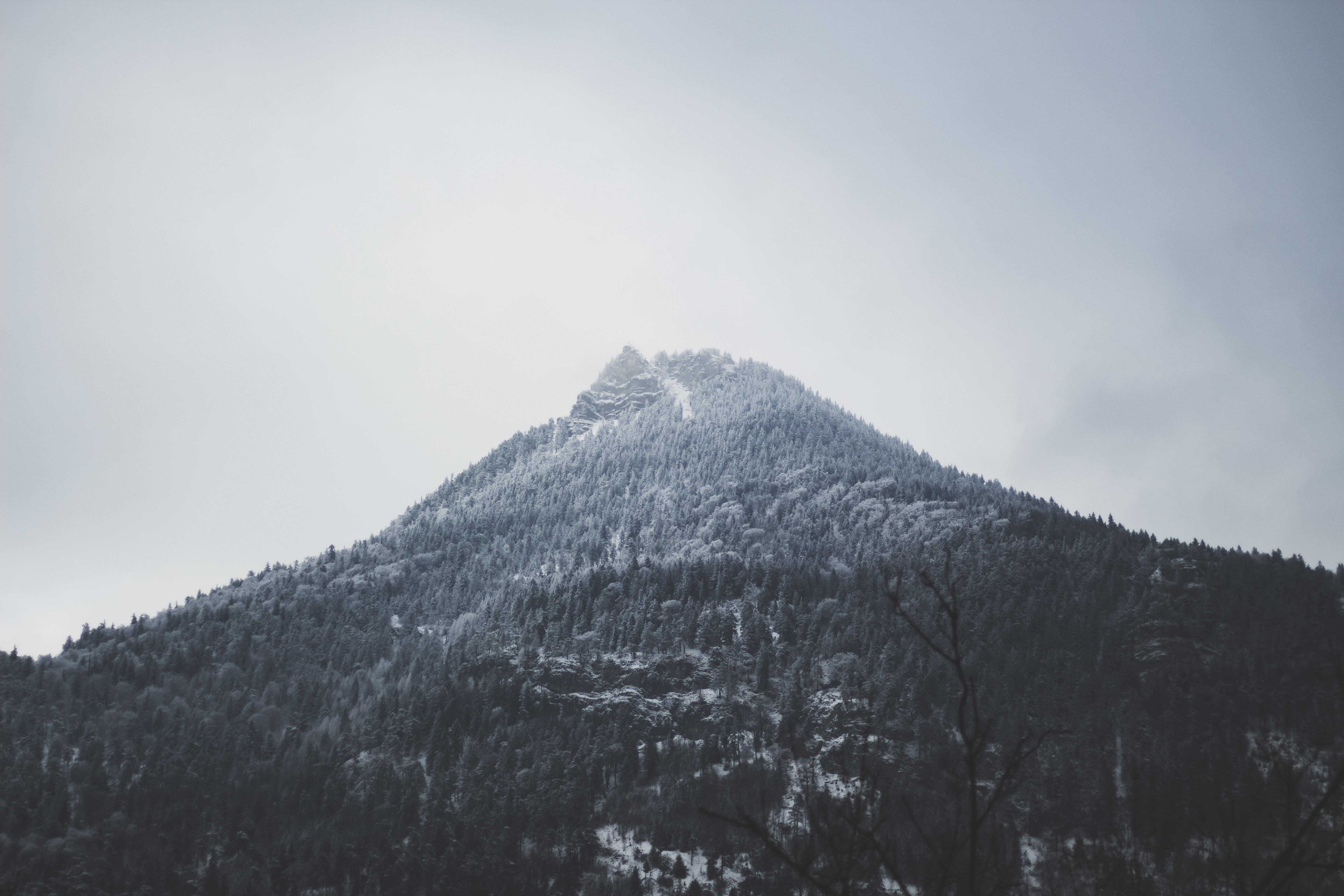 Alps, mountains, snow, mist, forest, clouds, landscape, monochrome, HD Wallpaper