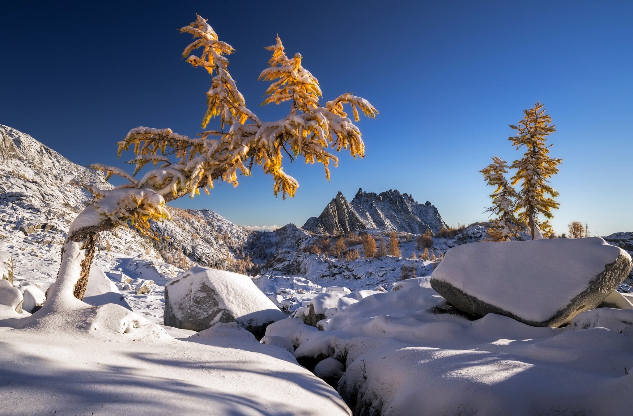 nature, snow, winter, landscape, HD Wallpaper