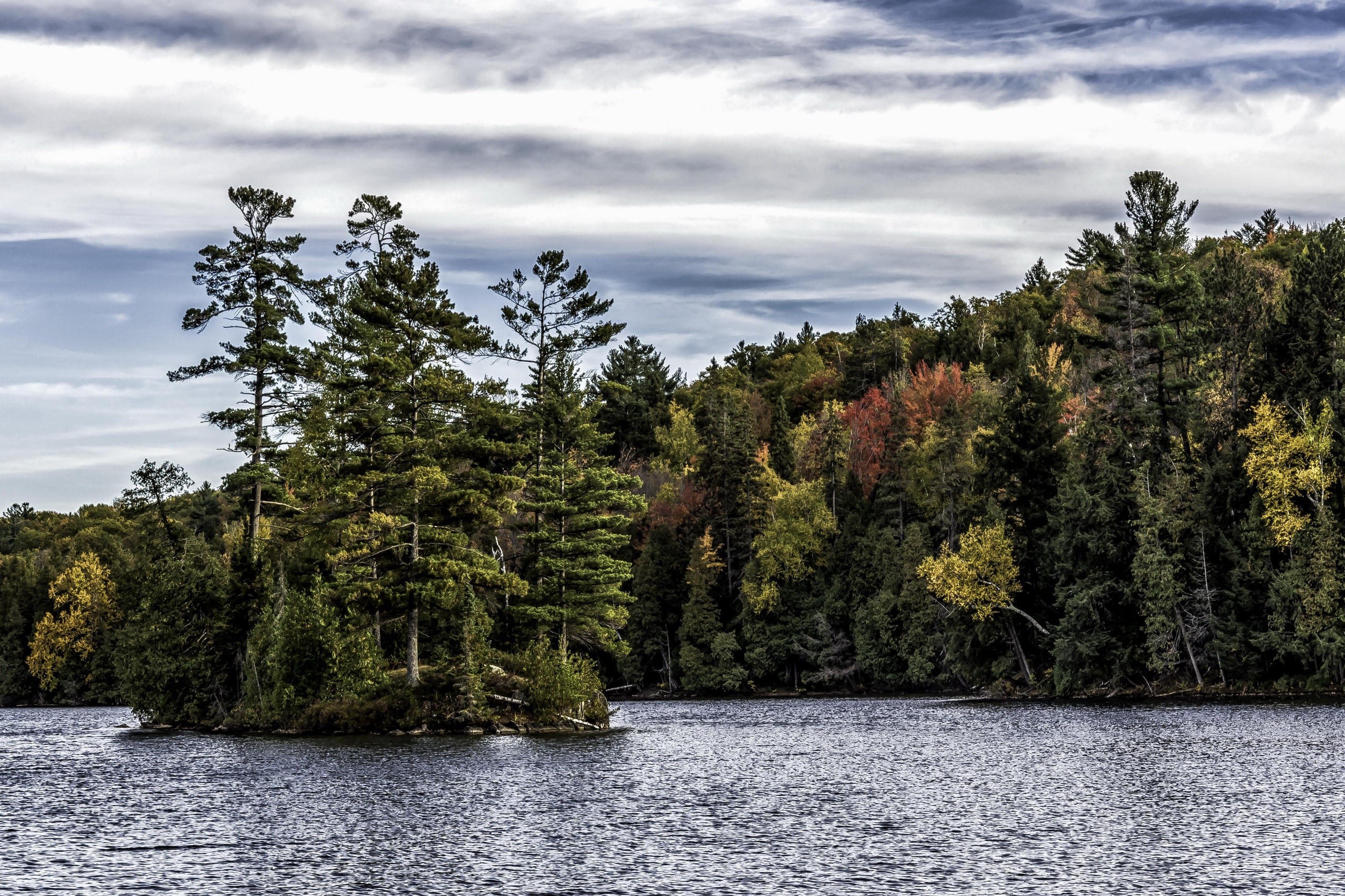 water, nature, landscape, green, trees, HD Wallpaper