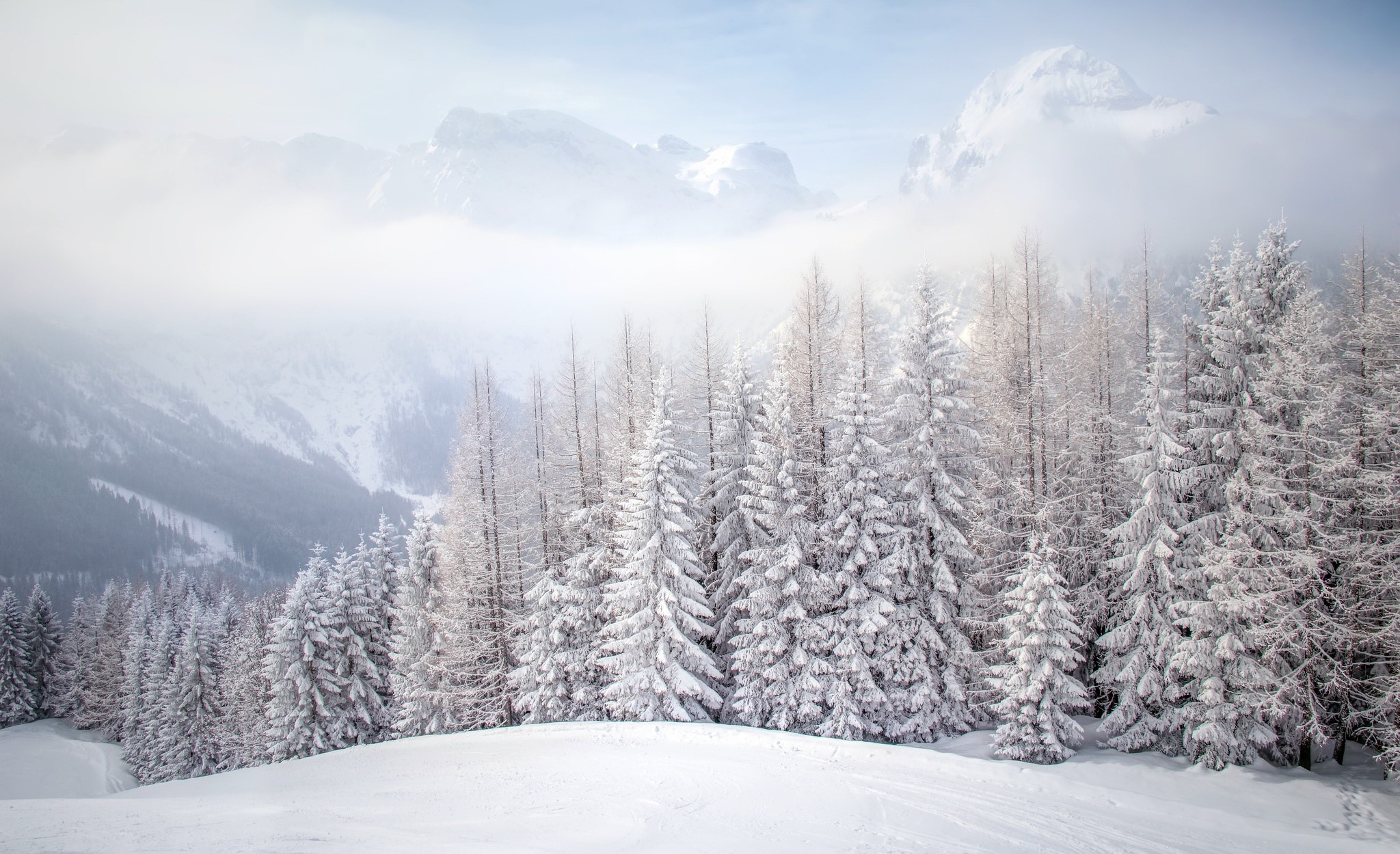 nature, winter, snow, trees, landscape, HD Wallpaper