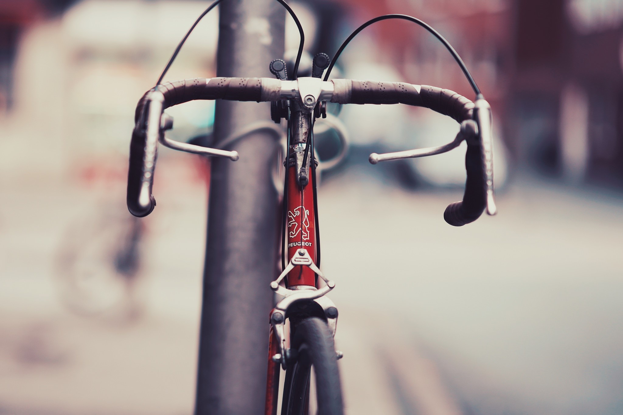 urban, city, depth of field, bicycle, vehicle, Peugeot, HD Wallpaper