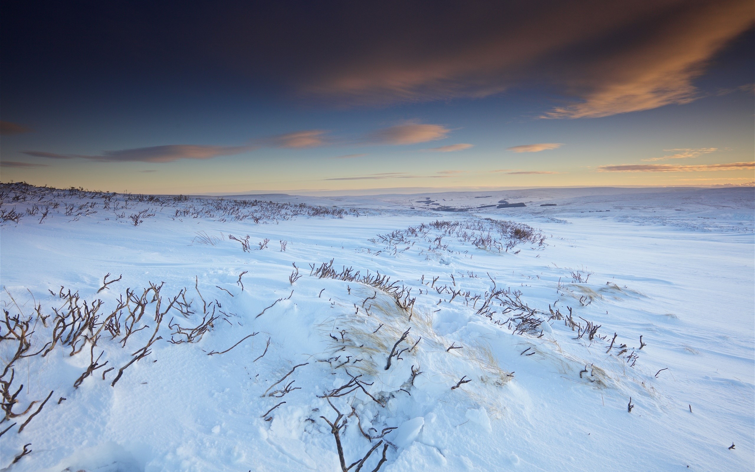 winter, landscape, snow, sky, nature, plains, HD Wallpaper