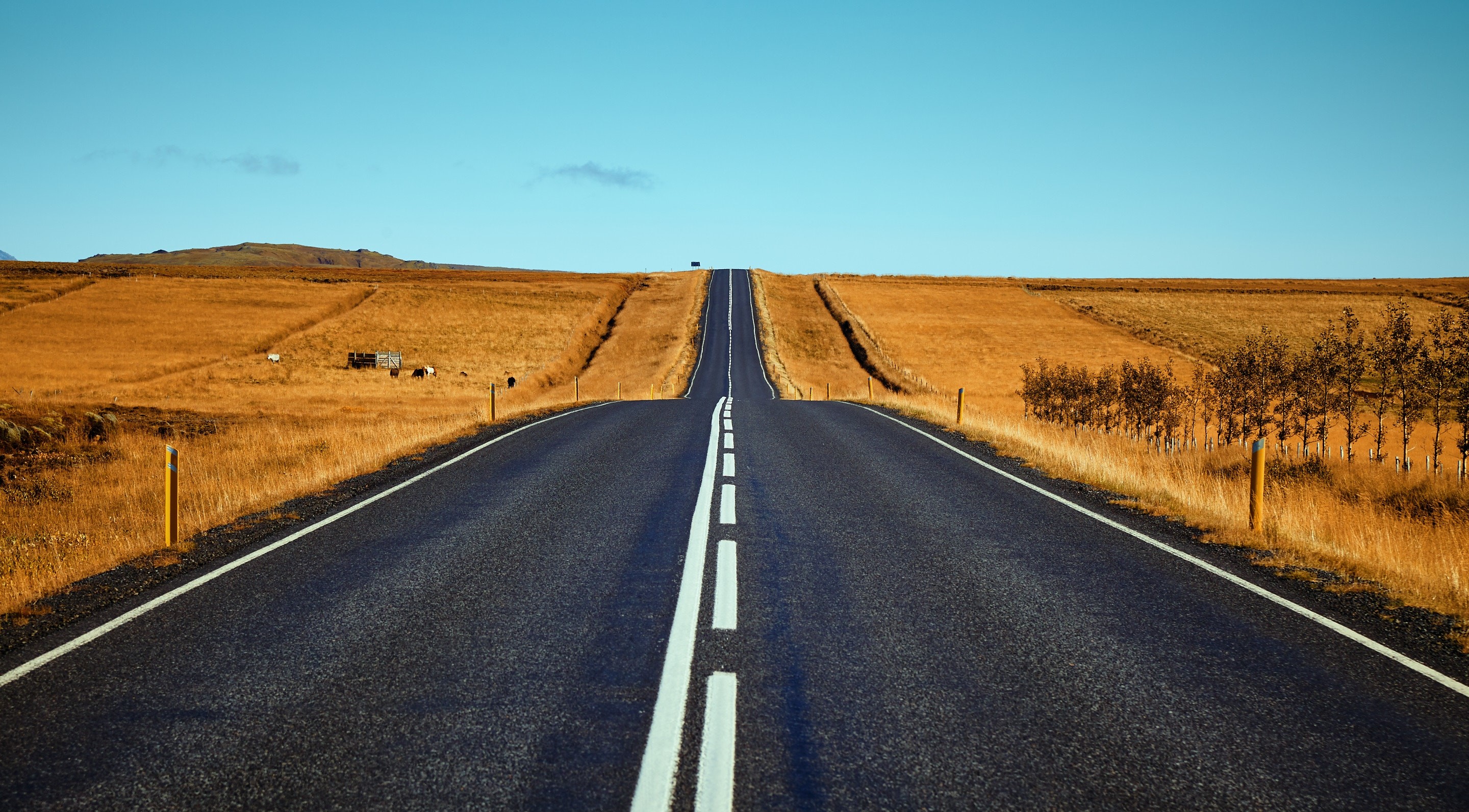 road, field, clear sky, blue, asphalt, HD Wallpaper