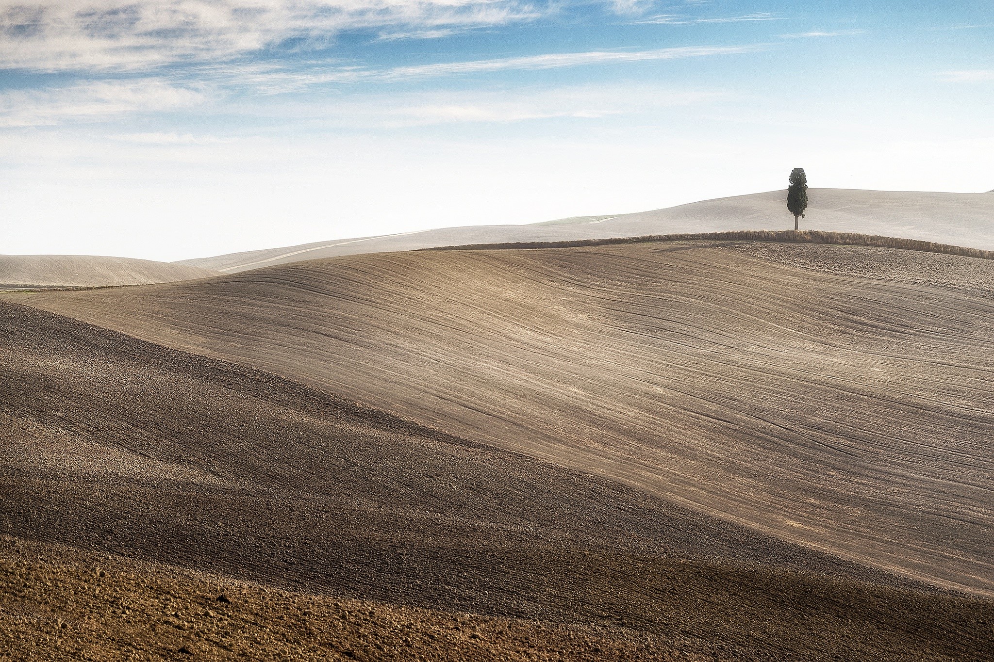 landscape, field, trees, hills, brown, HD Wallpaper