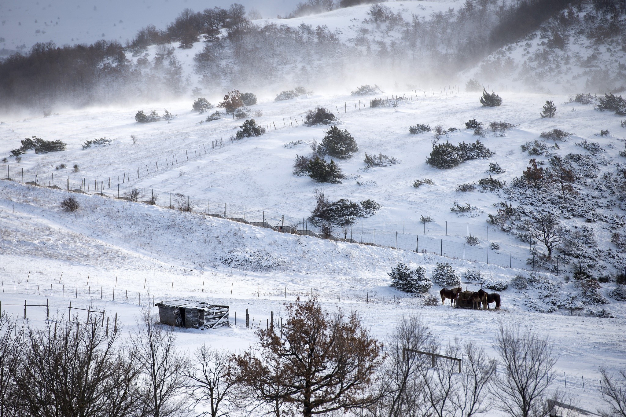 nature, landscape, winter, snow, HD Wallpaper