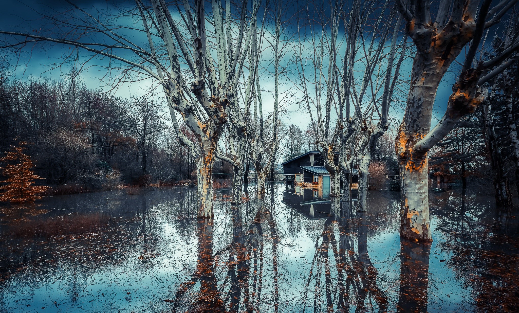 water, trees, blue, nature, HD Wallpaper