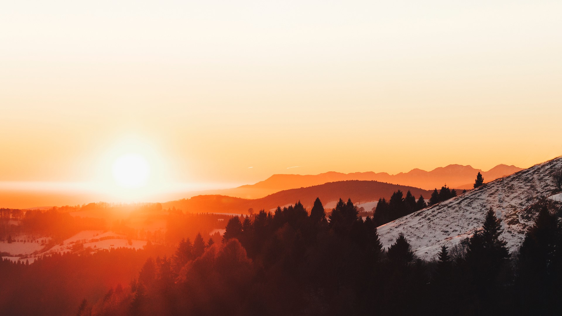 sunrise, forest, orange, winter, HD Wallpaper