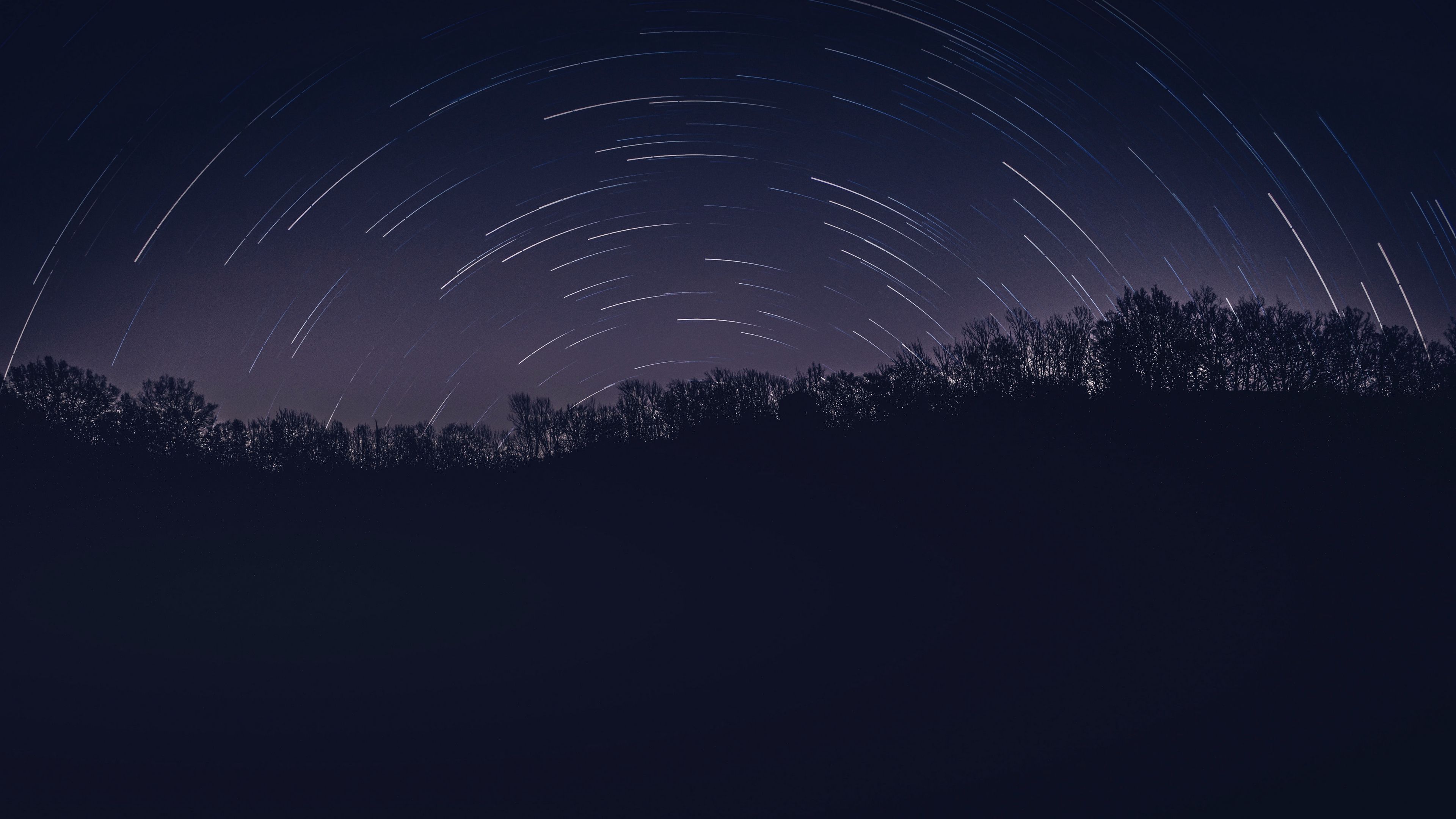 night, trees, stars, darkness, dark, 4k, HD Wallpaper