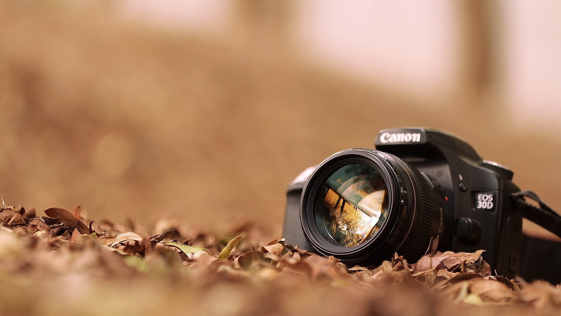 camera, Canon, fall, leaves, HD Wallpaper