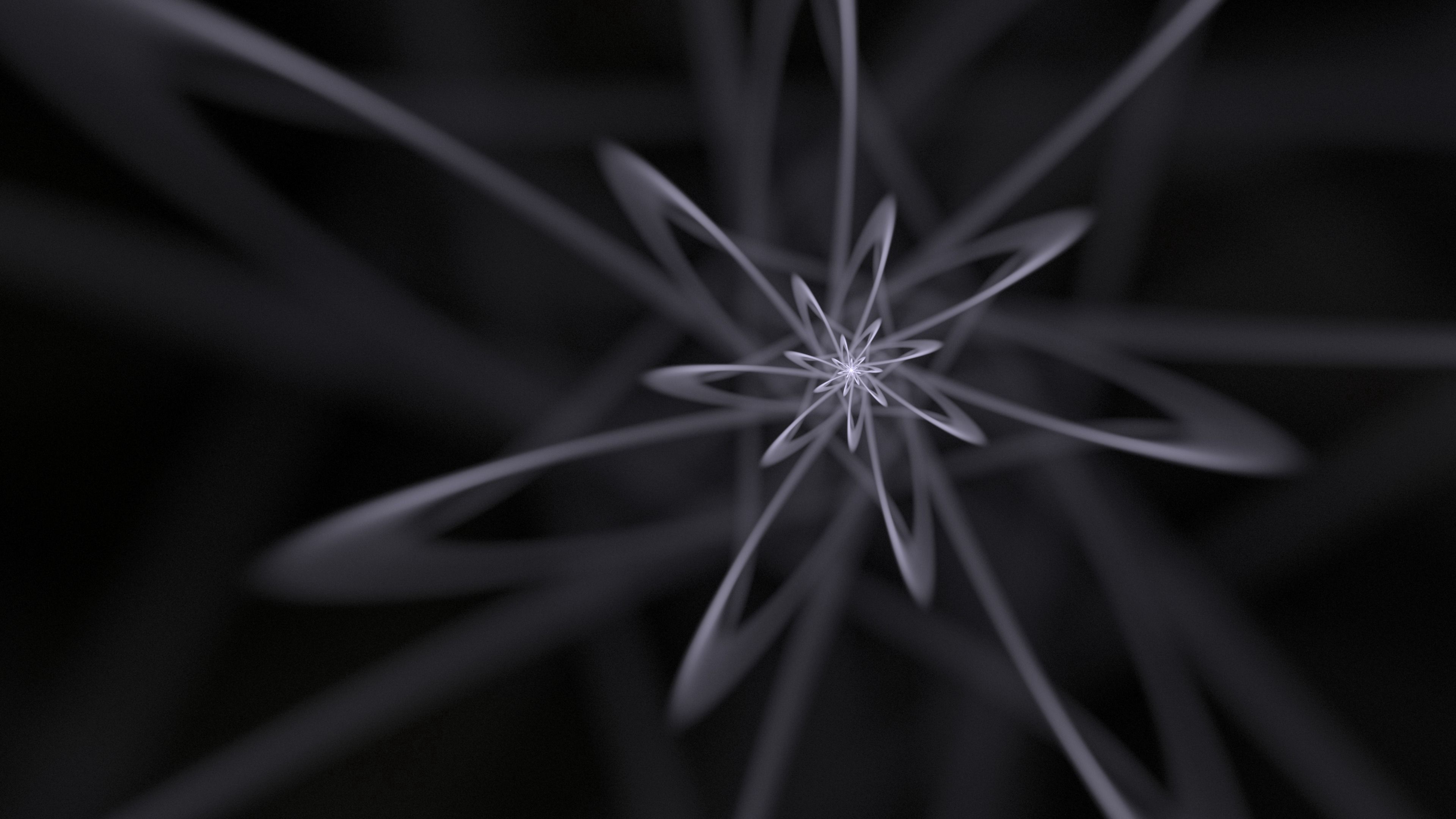 fractal, lines, tangled, bw, abstraction, 4k, HD Wallpaper