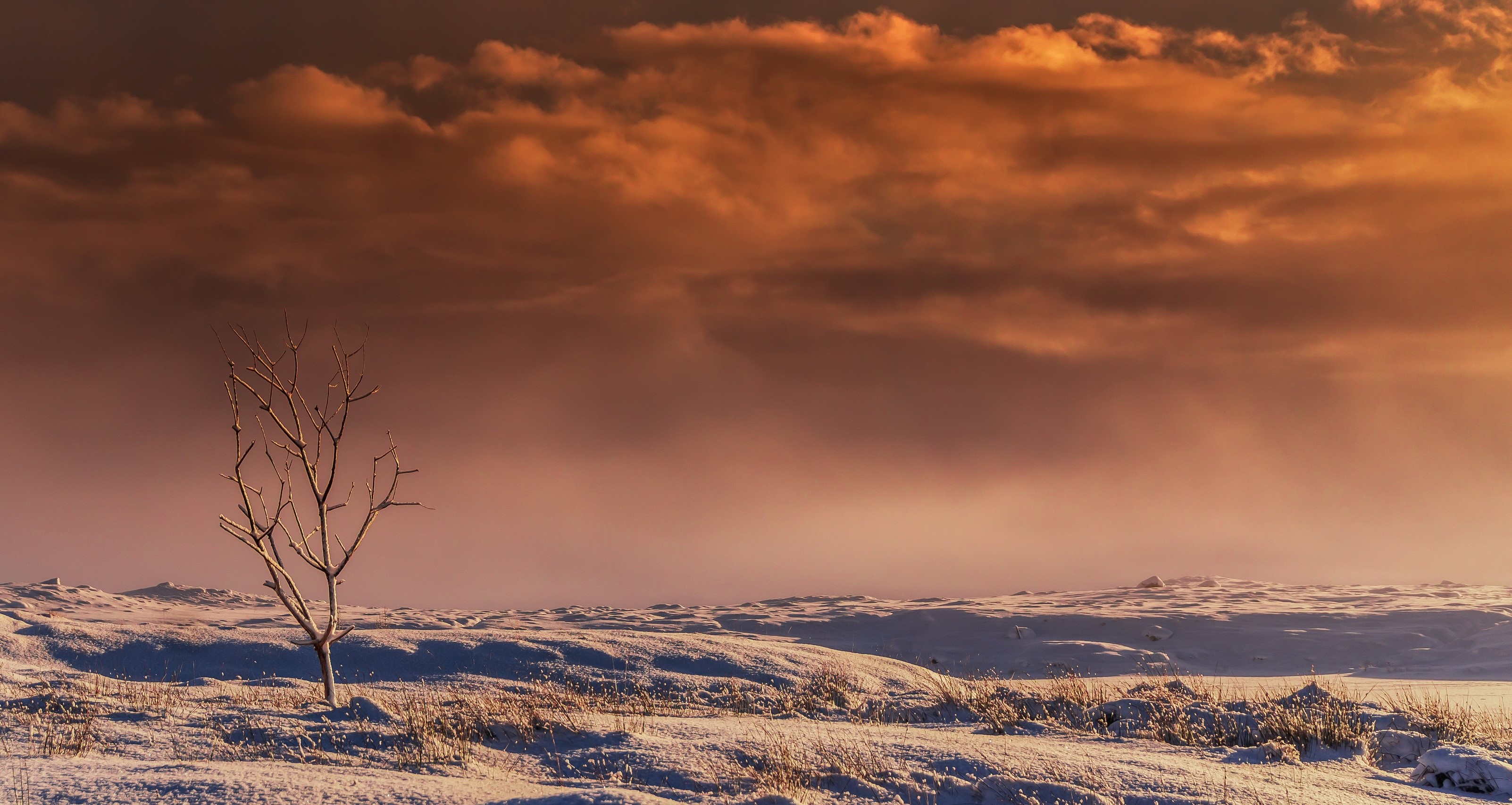 nature, sky, landscape, snow, HD Wallpaper