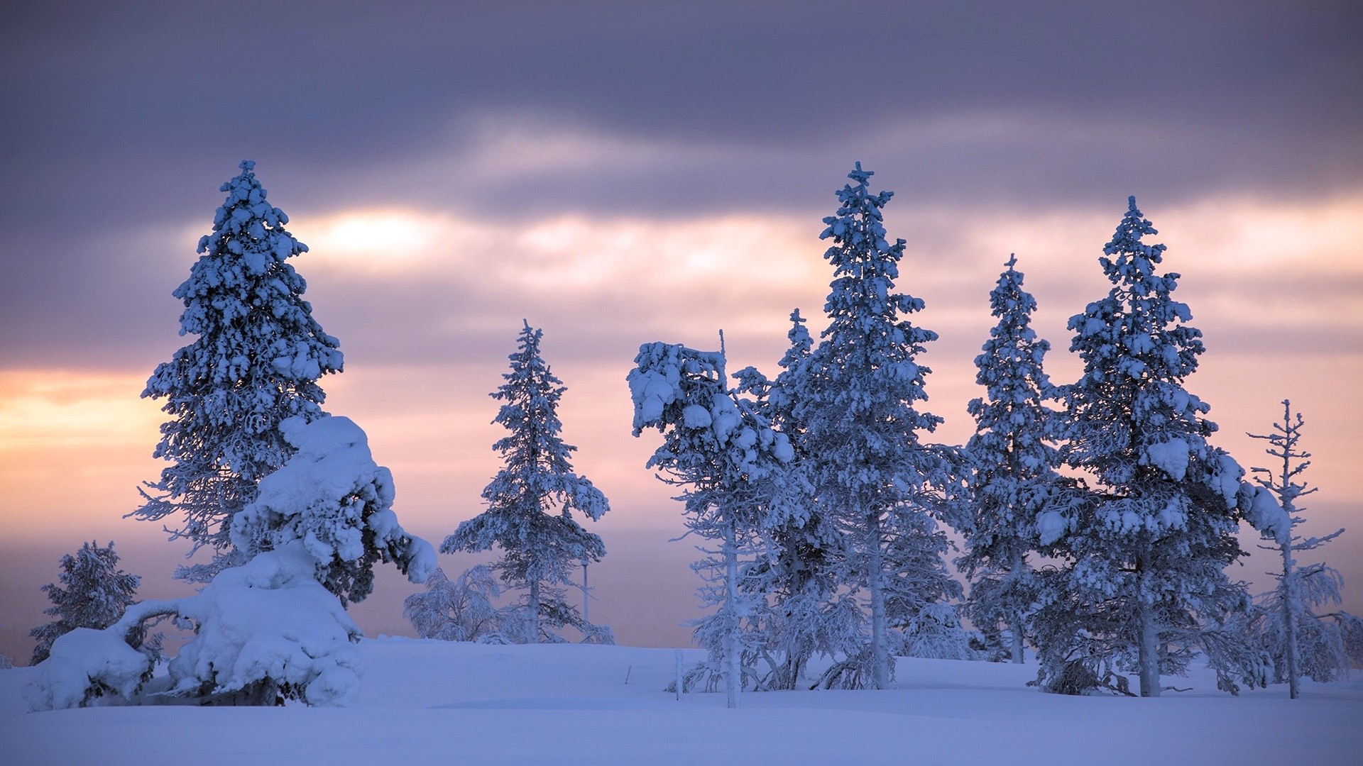 trees, nature, landscape, snow, winter, HD Wallpaper