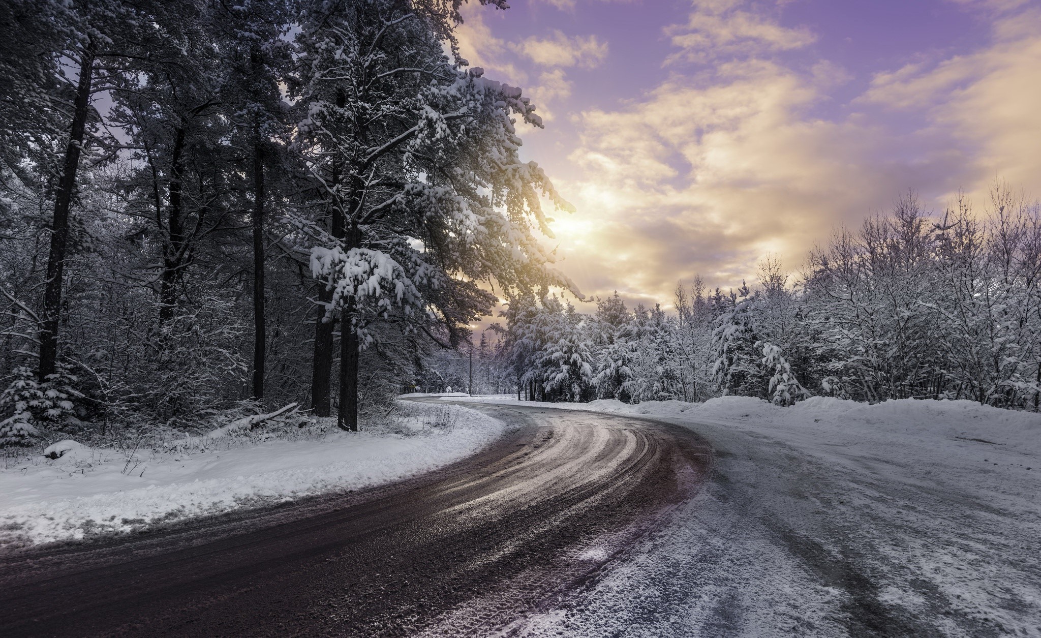 winter, road, snow, trees, HD Wallpaper
