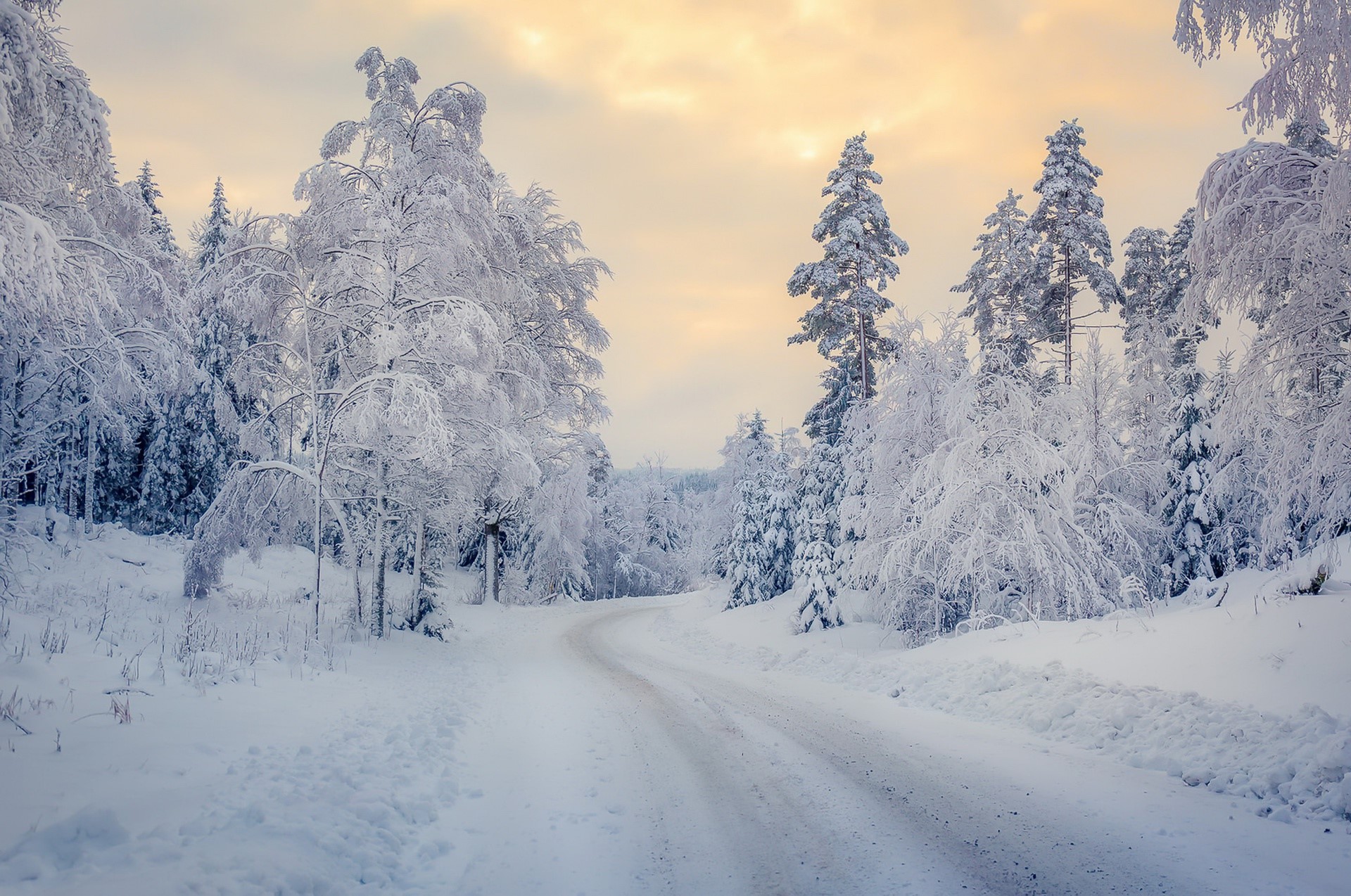 snow, winter, landscape, trees, road, HD Wallpaper