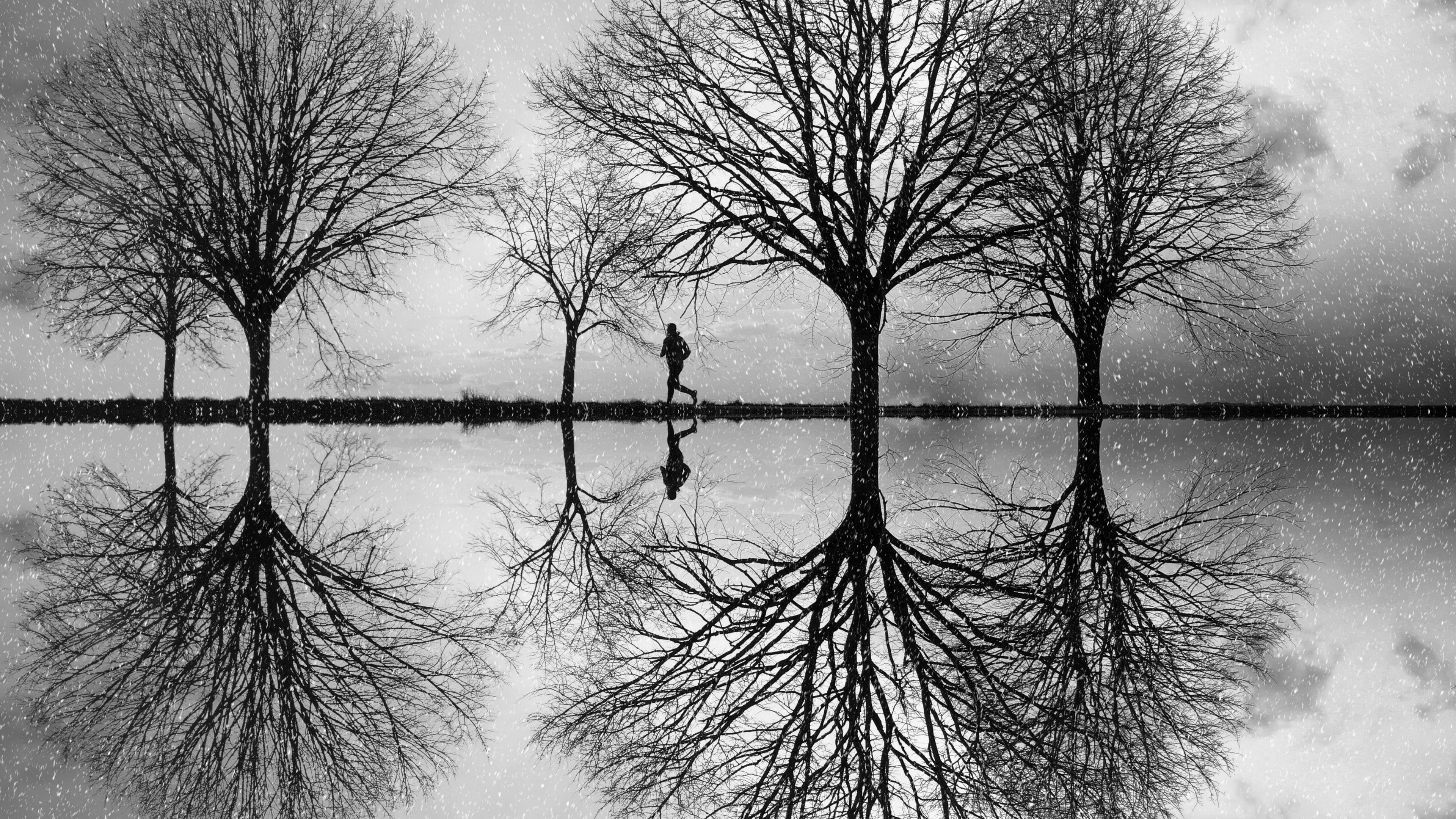 silhouette, trees, bw, reflection, water, 4k, HD Wallpaper