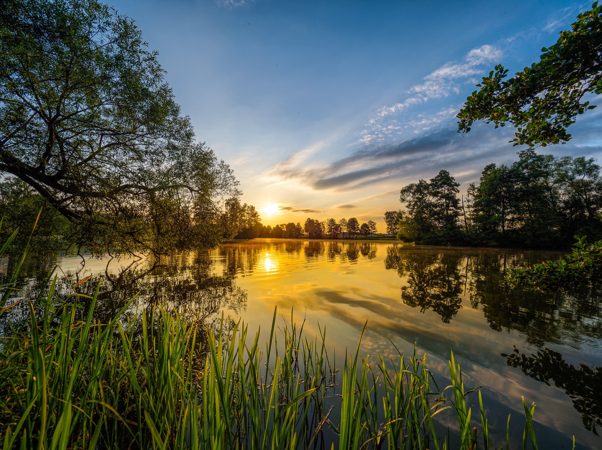 nature, reflection, Sun, trees, clouds, water, sea, sunrise, HD Wallpaper