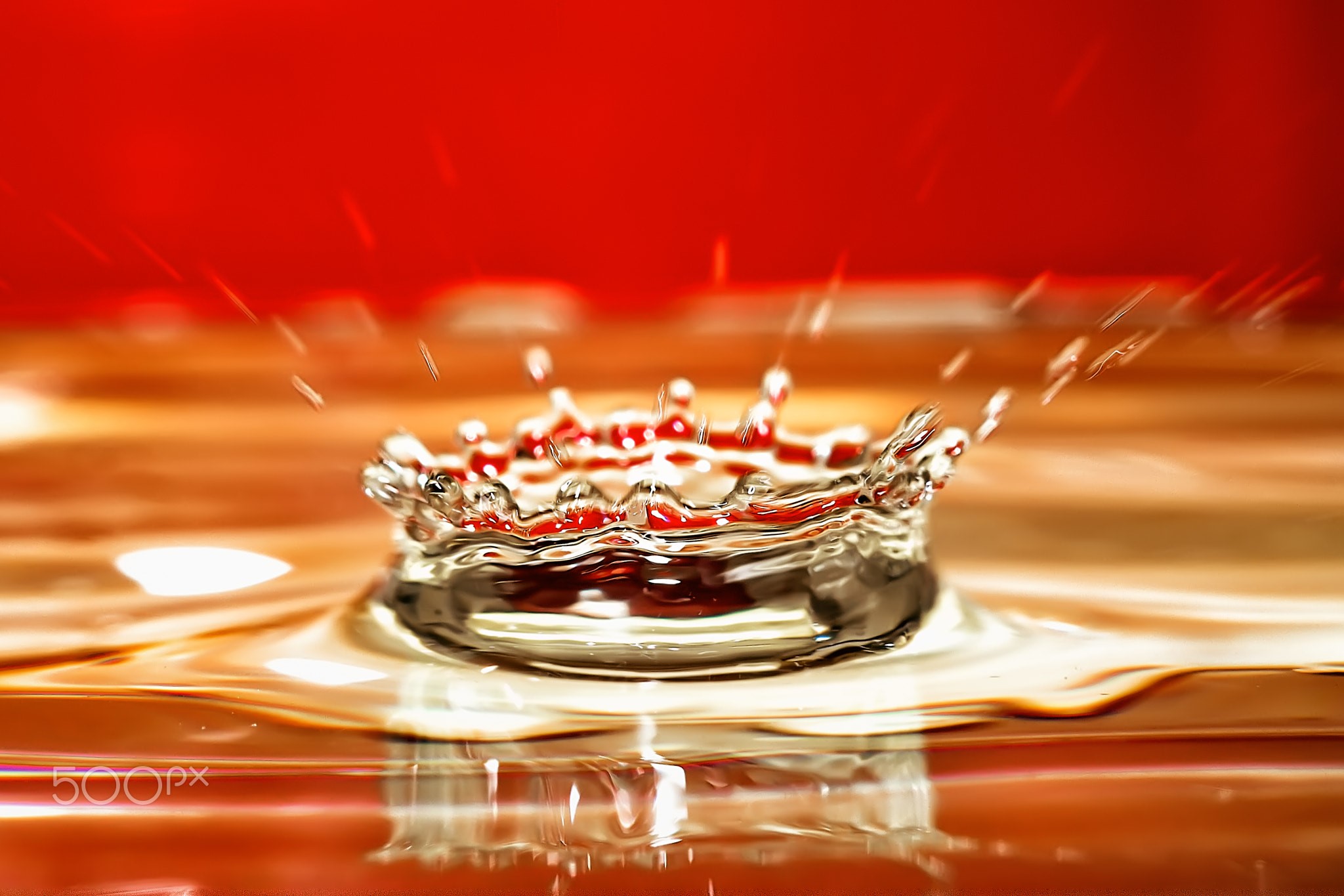 Andrey Metelkov, red, water, water drops, HD Wallpaper