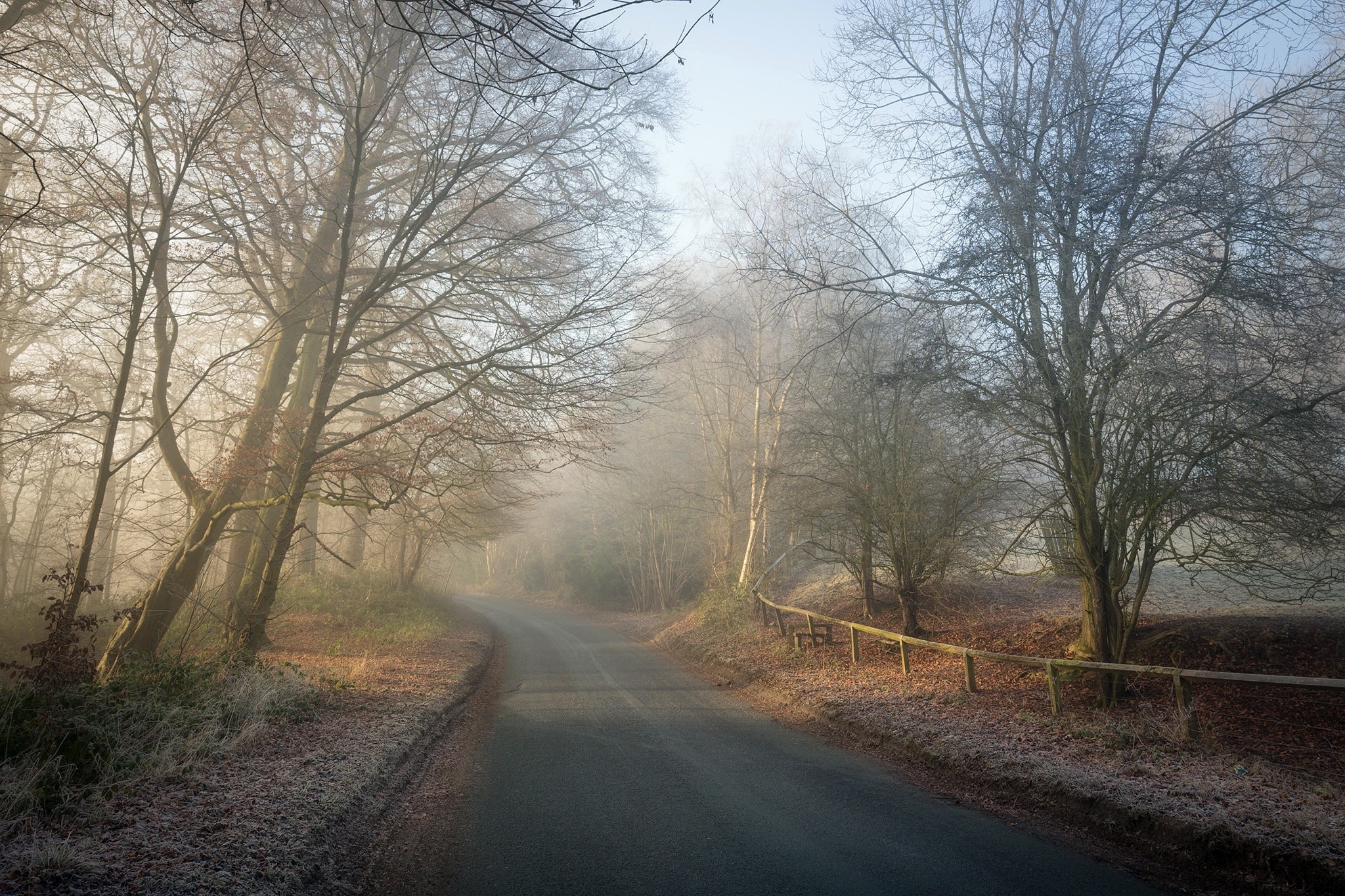 road, trees, winter, HD Wallpaper