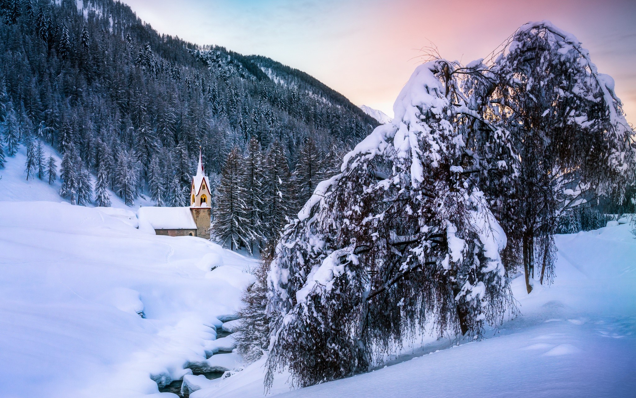 trees, nature, winter, snow, mountains, HD Wallpaper