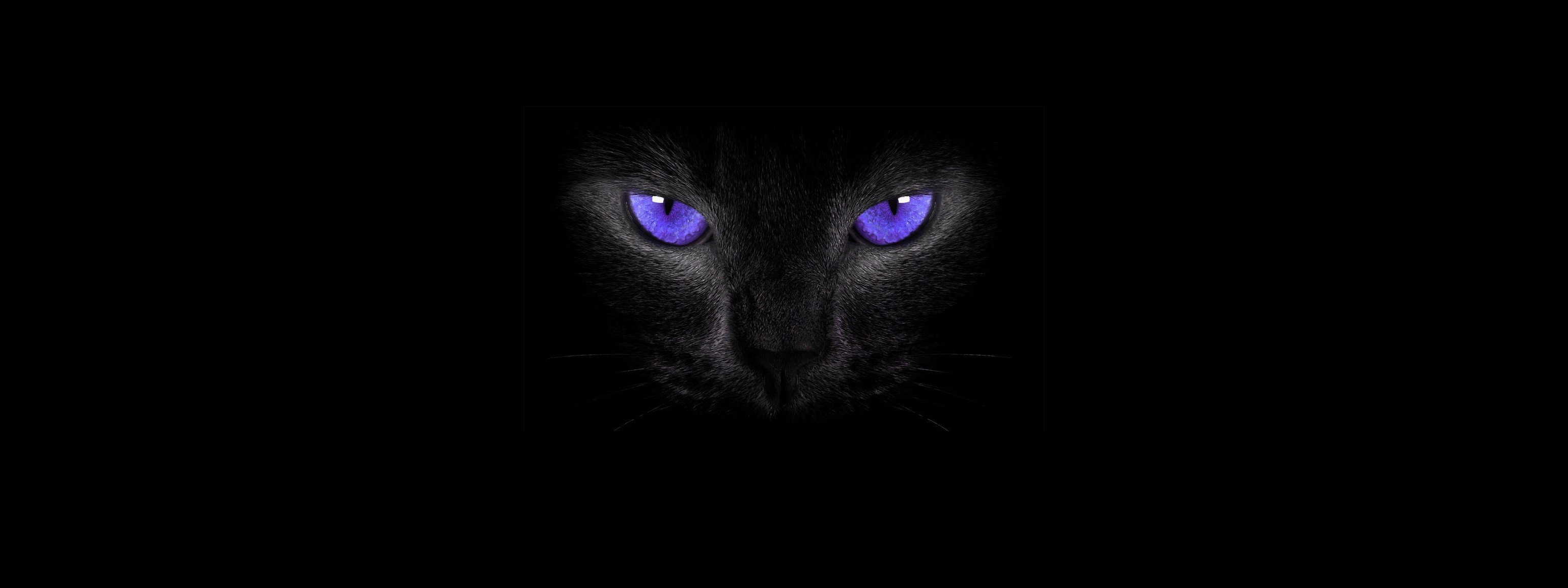 cat eyes, simple background, cats, black cats, smoky eyes, HD Wallpaper