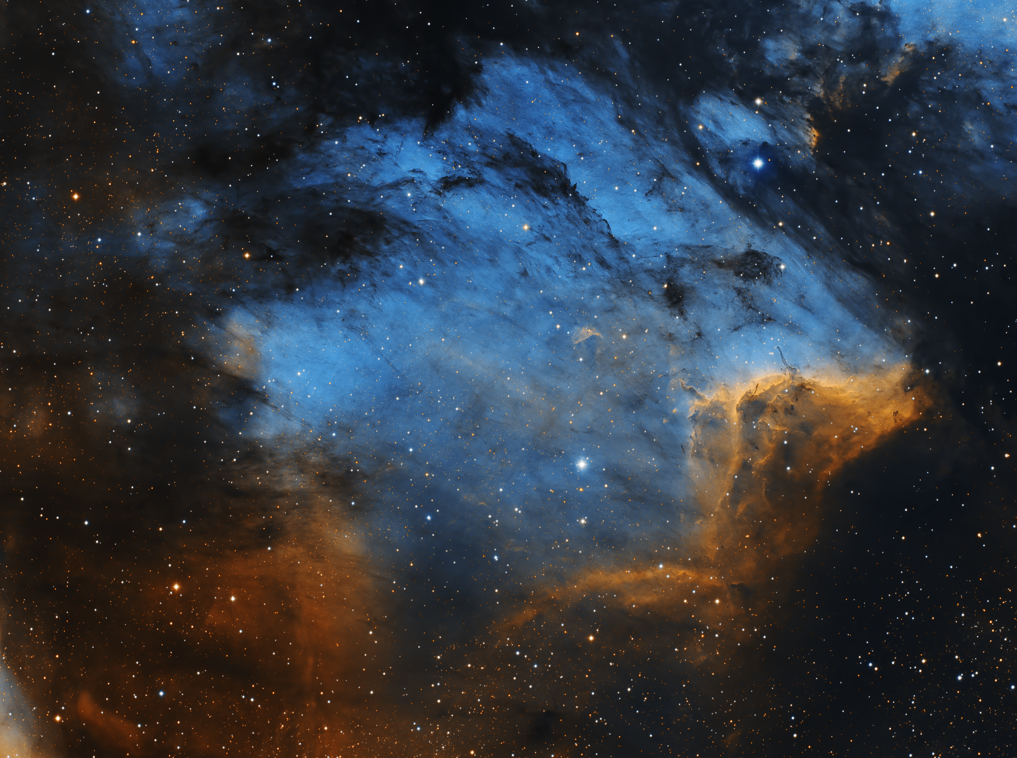 Pelican Nebula, nebula, space, Cygnus constellation, HD Wallpaper