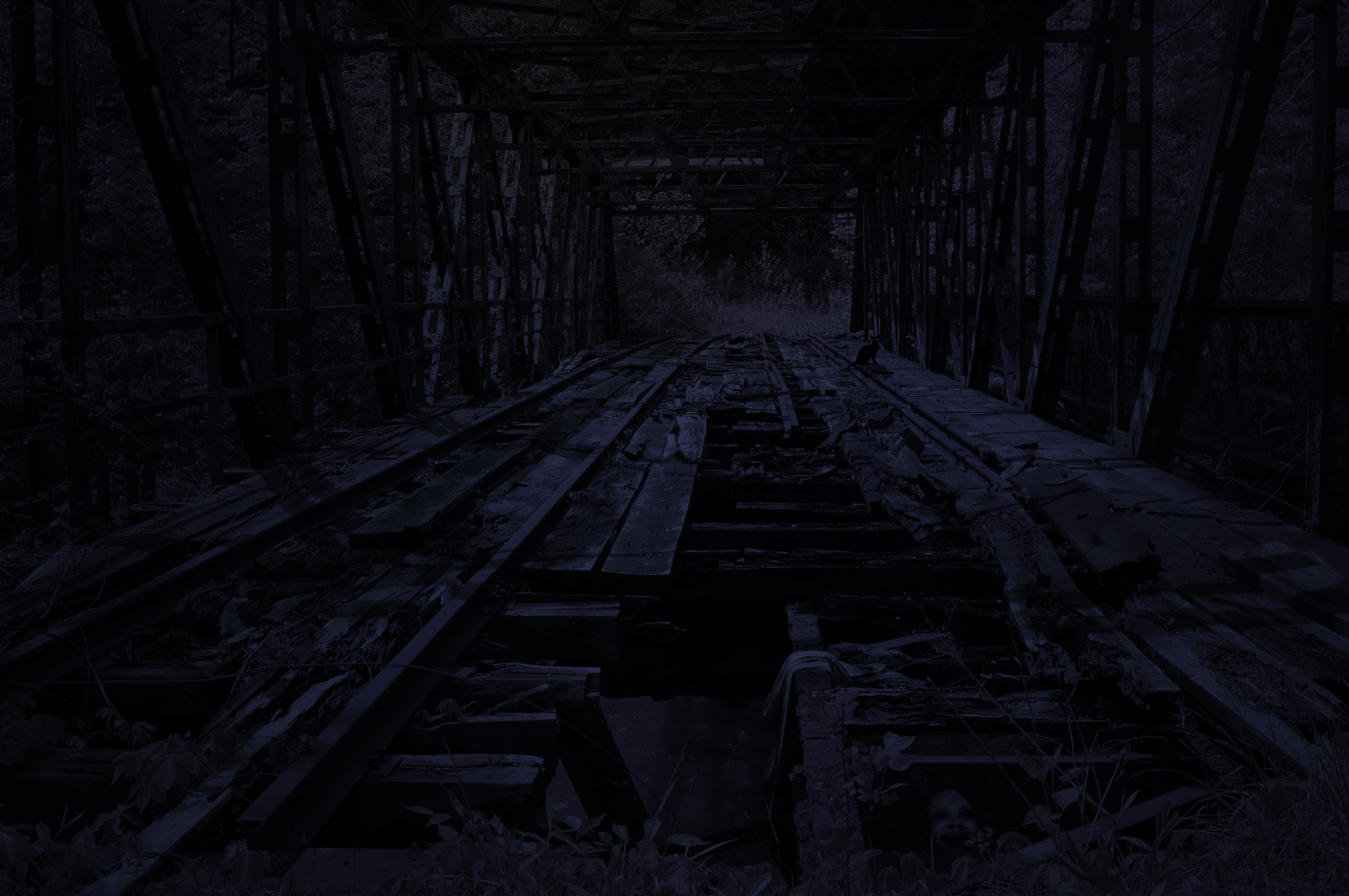 dark, cats, bridge, HD Wallpaper