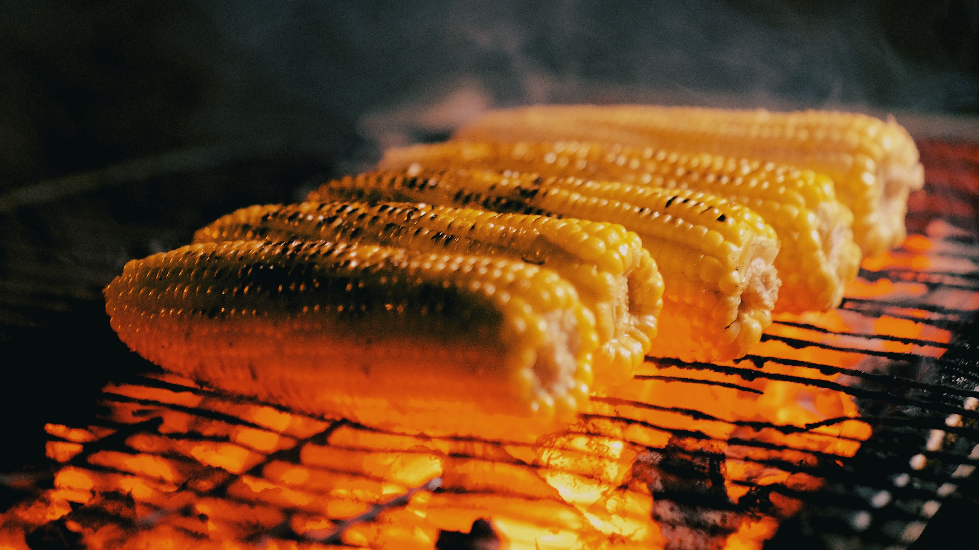 corn, cob, grill, coals, steam, 4k, HD Wallpaper
