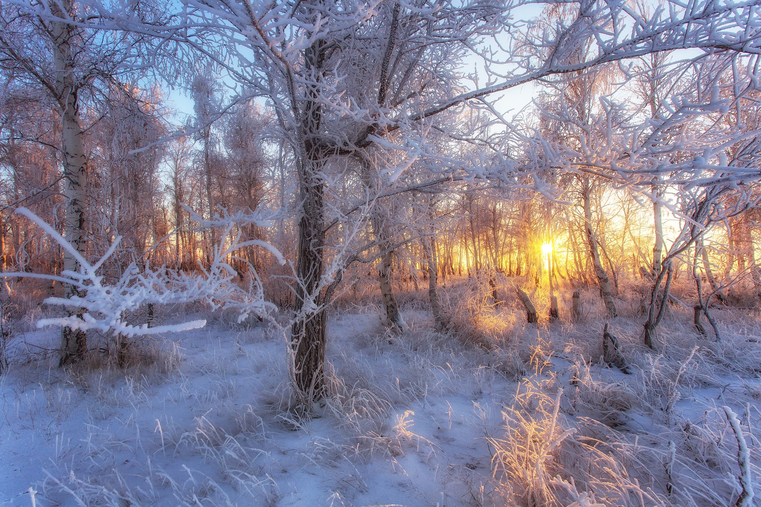 snow, winter, sunlight, landscape, nature, HD Wallpaper