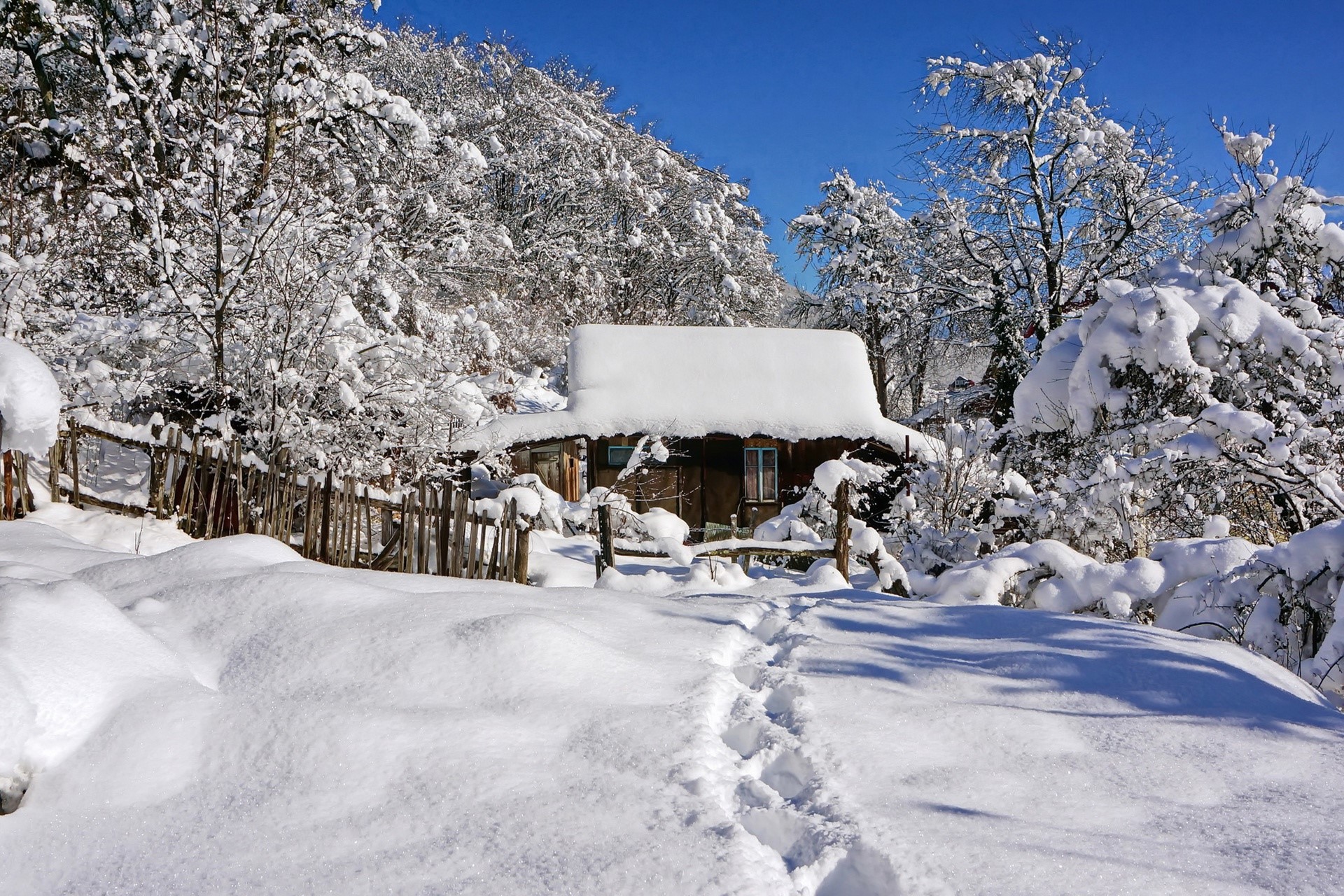 nature, snow, winter, HD Wallpaper