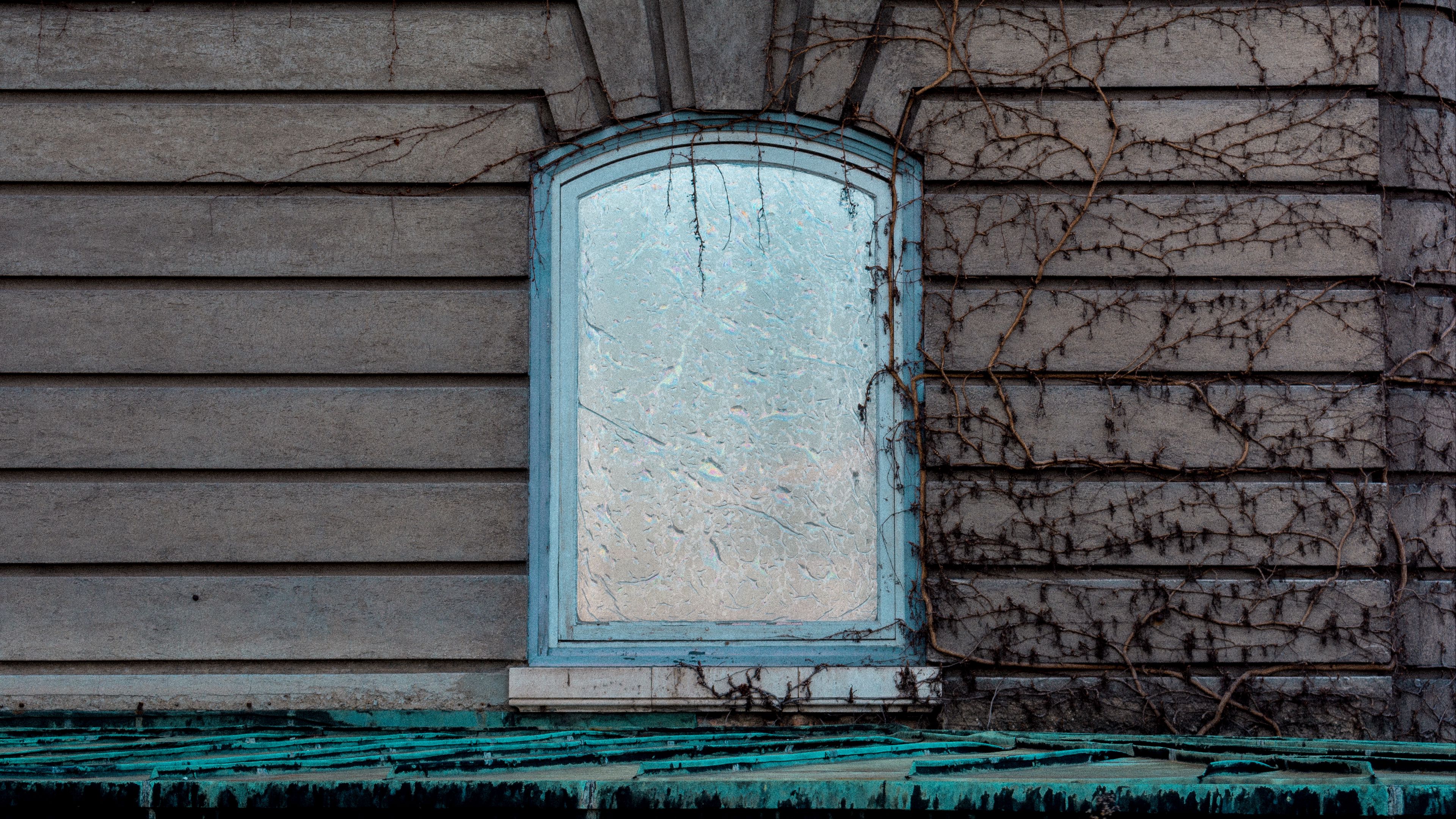 window, wall, branches, facade, 4k, HD Wallpaper