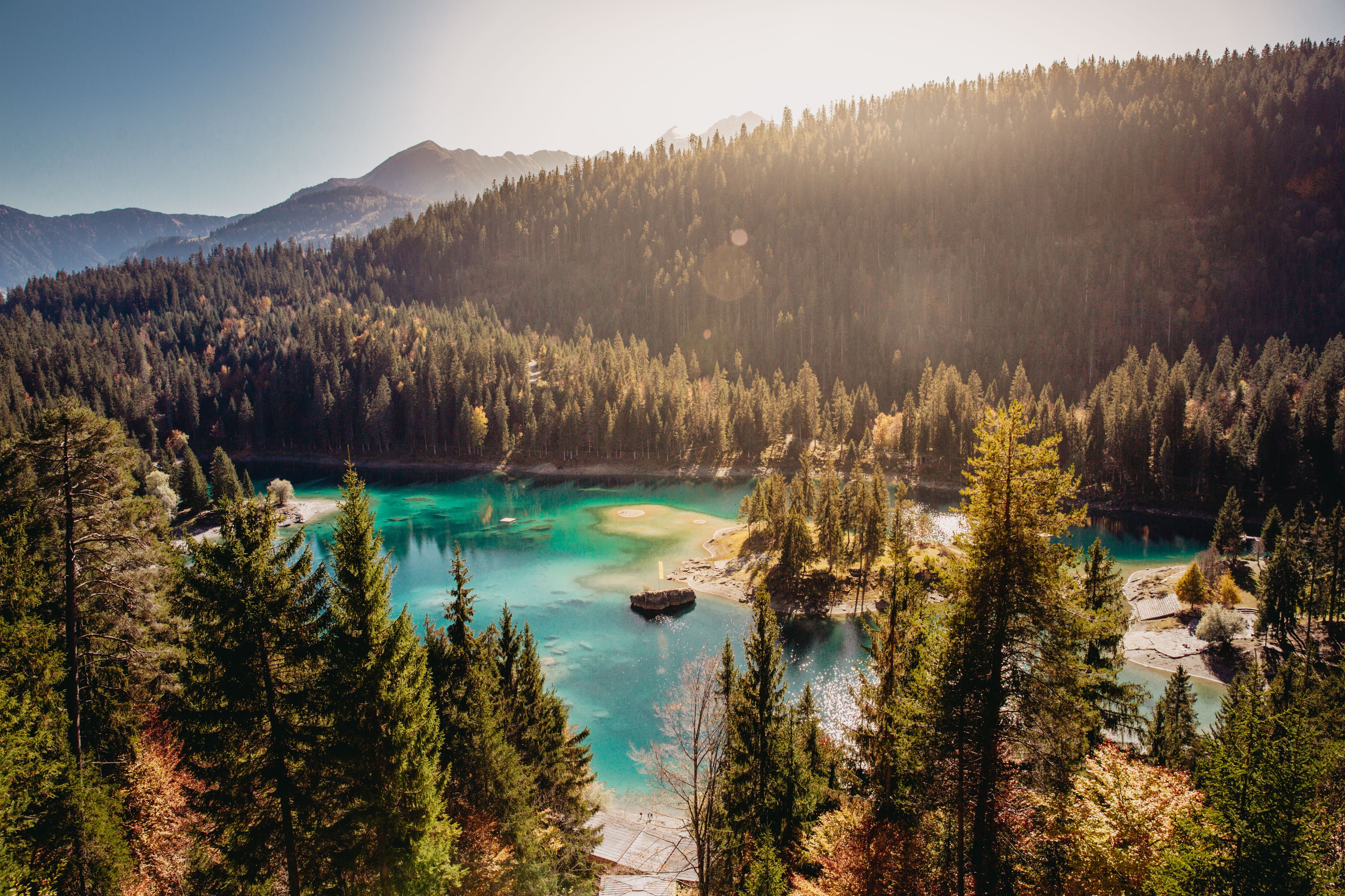 forest, water, blue, trees, landscape, HD Wallpaper