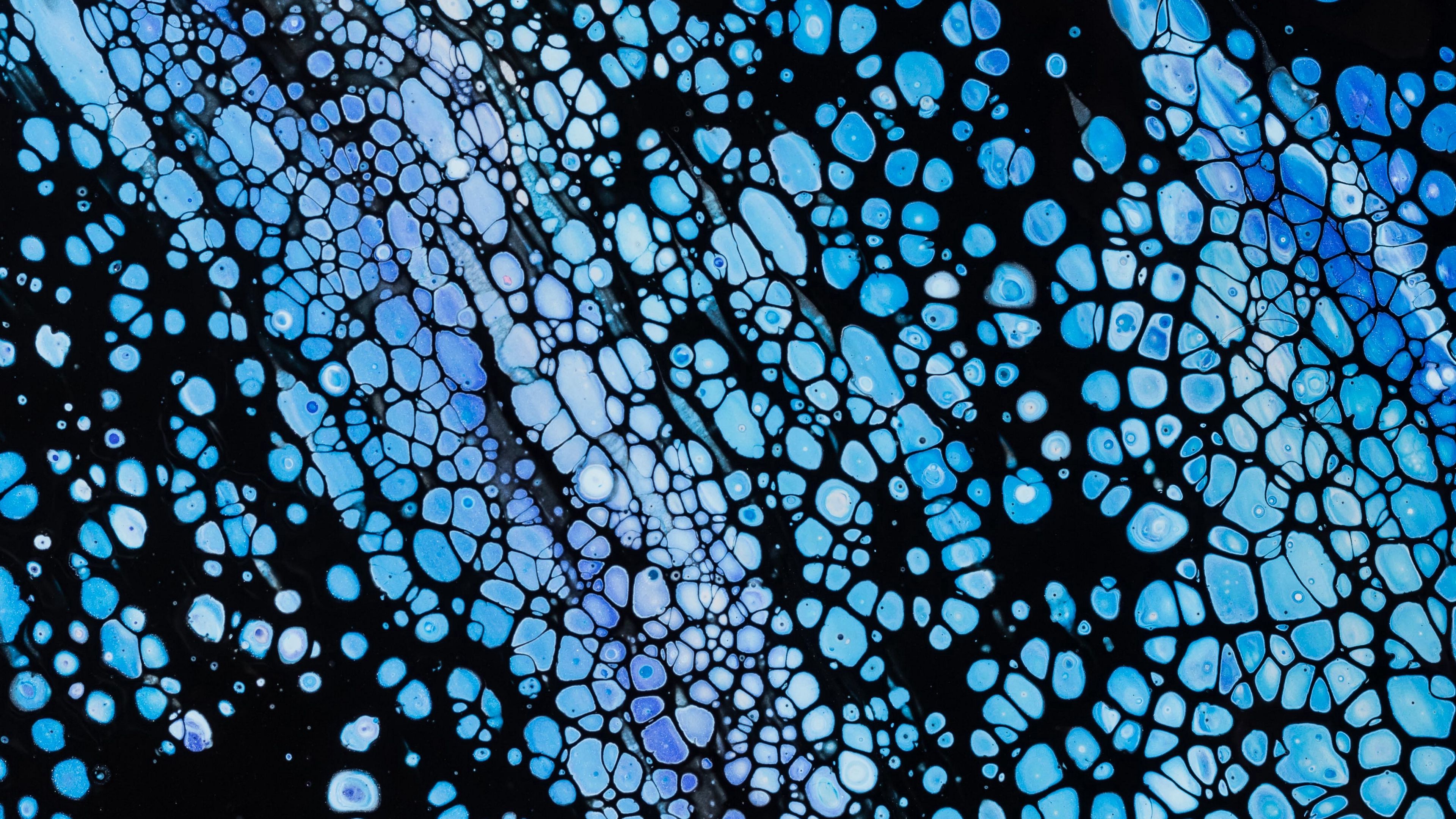 bubbles, paint, texture, liquid, macro, 4k, HD Wallpaper