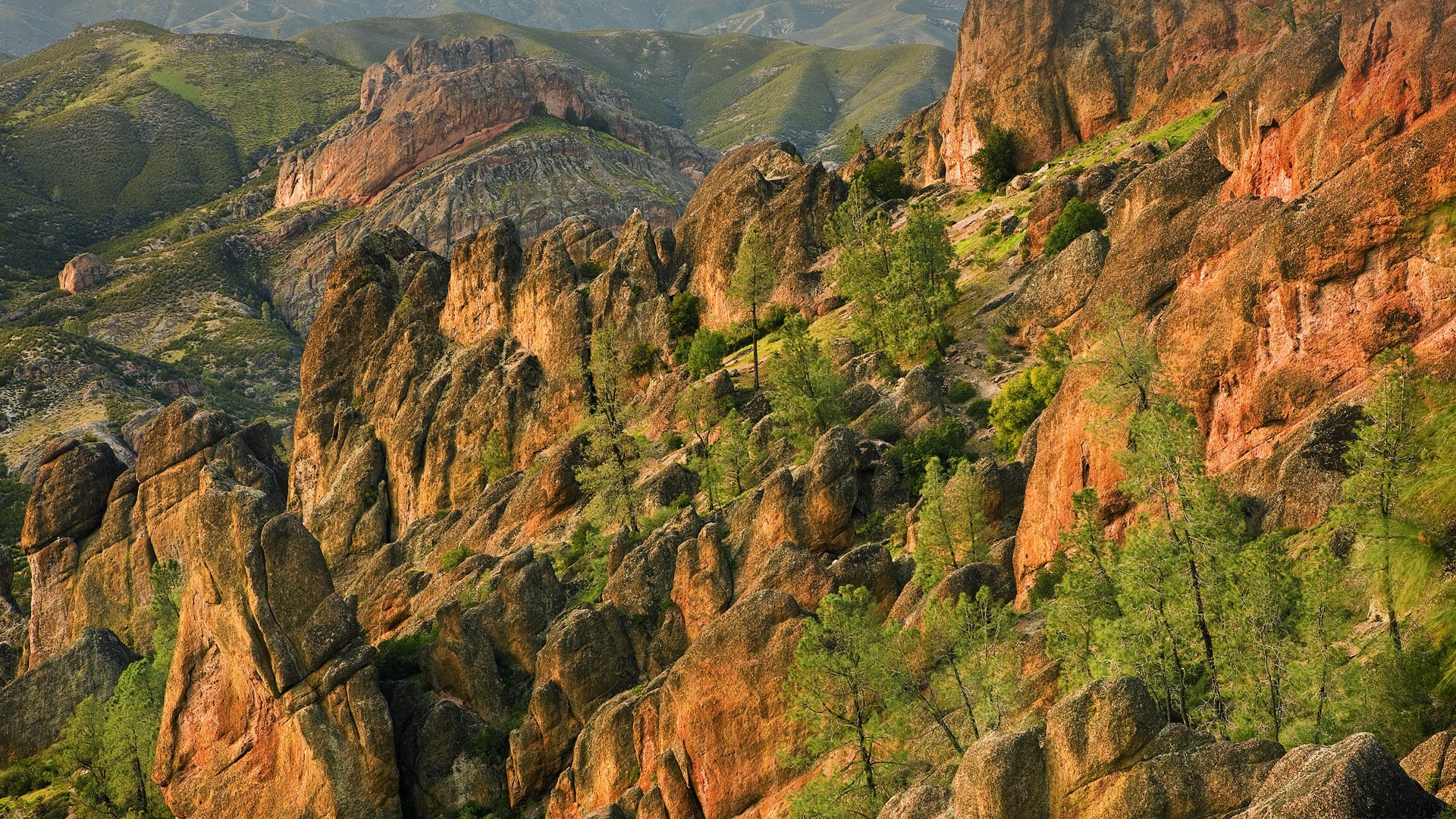 landscape, nature, trees, rock, HD Wallpaper