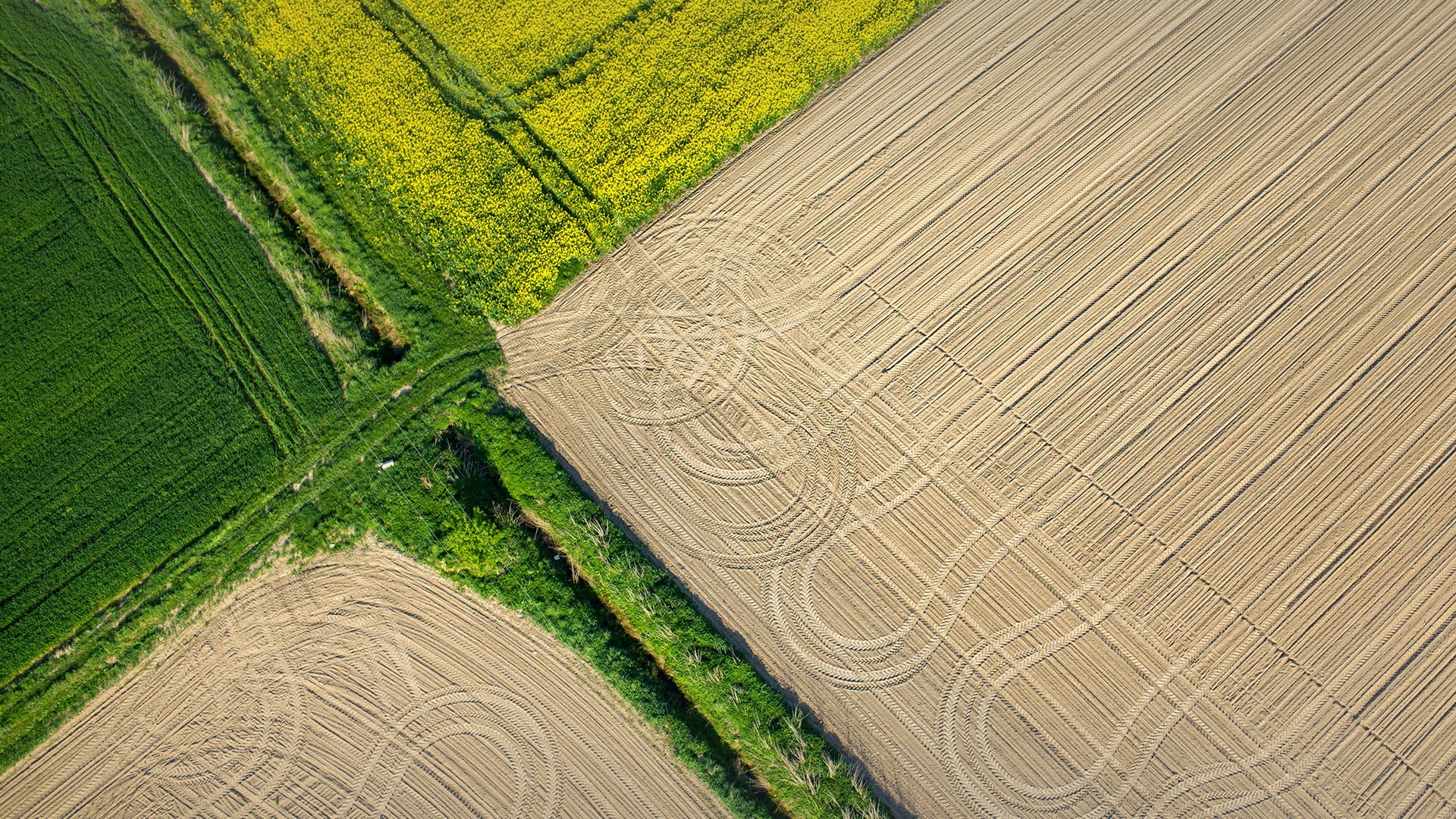 landscape, field, aerial view, green, HD Wallpaper