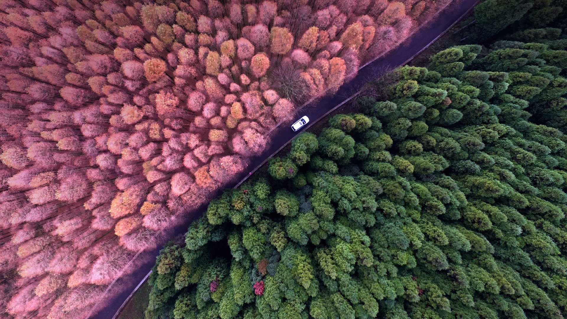 landscape, aerial view, colorful, HD Wallpaper
