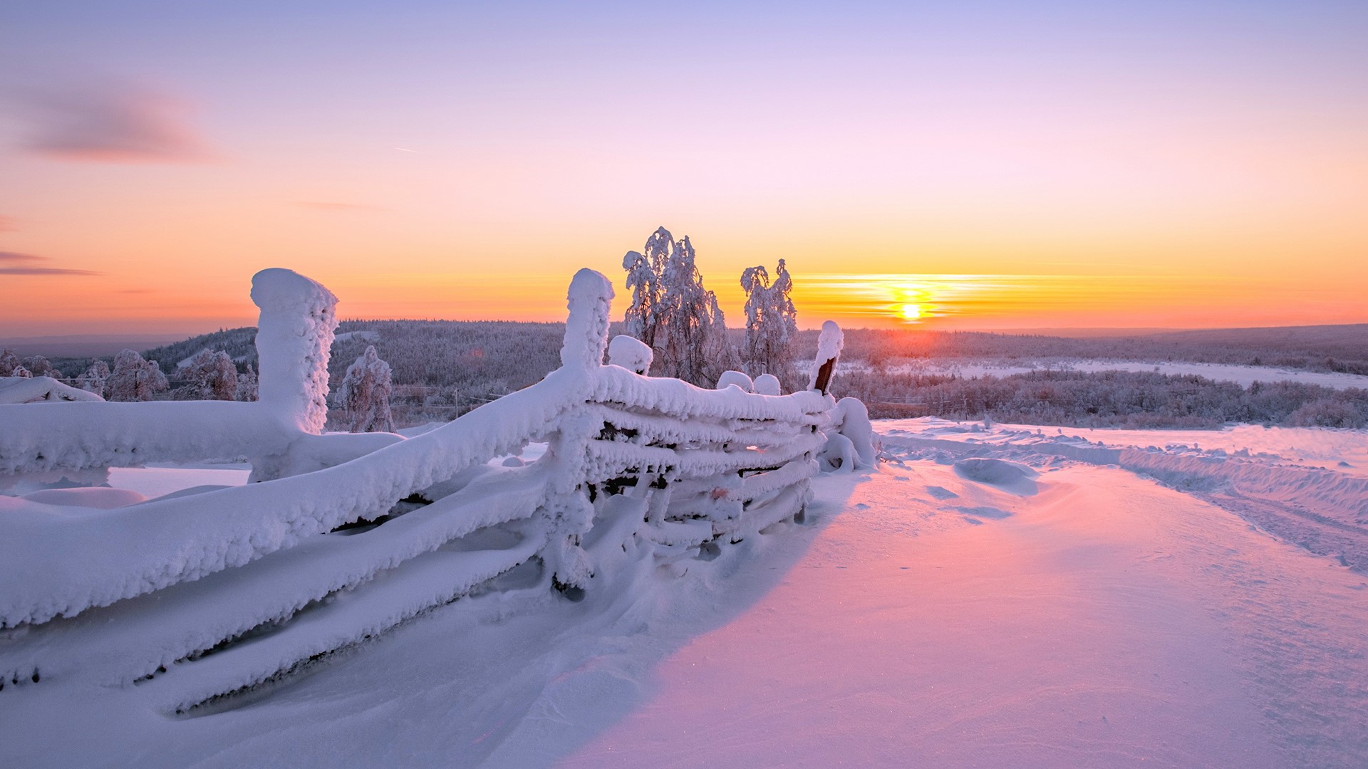 Sun, winter, sunlight, snow, HD Wallpaper