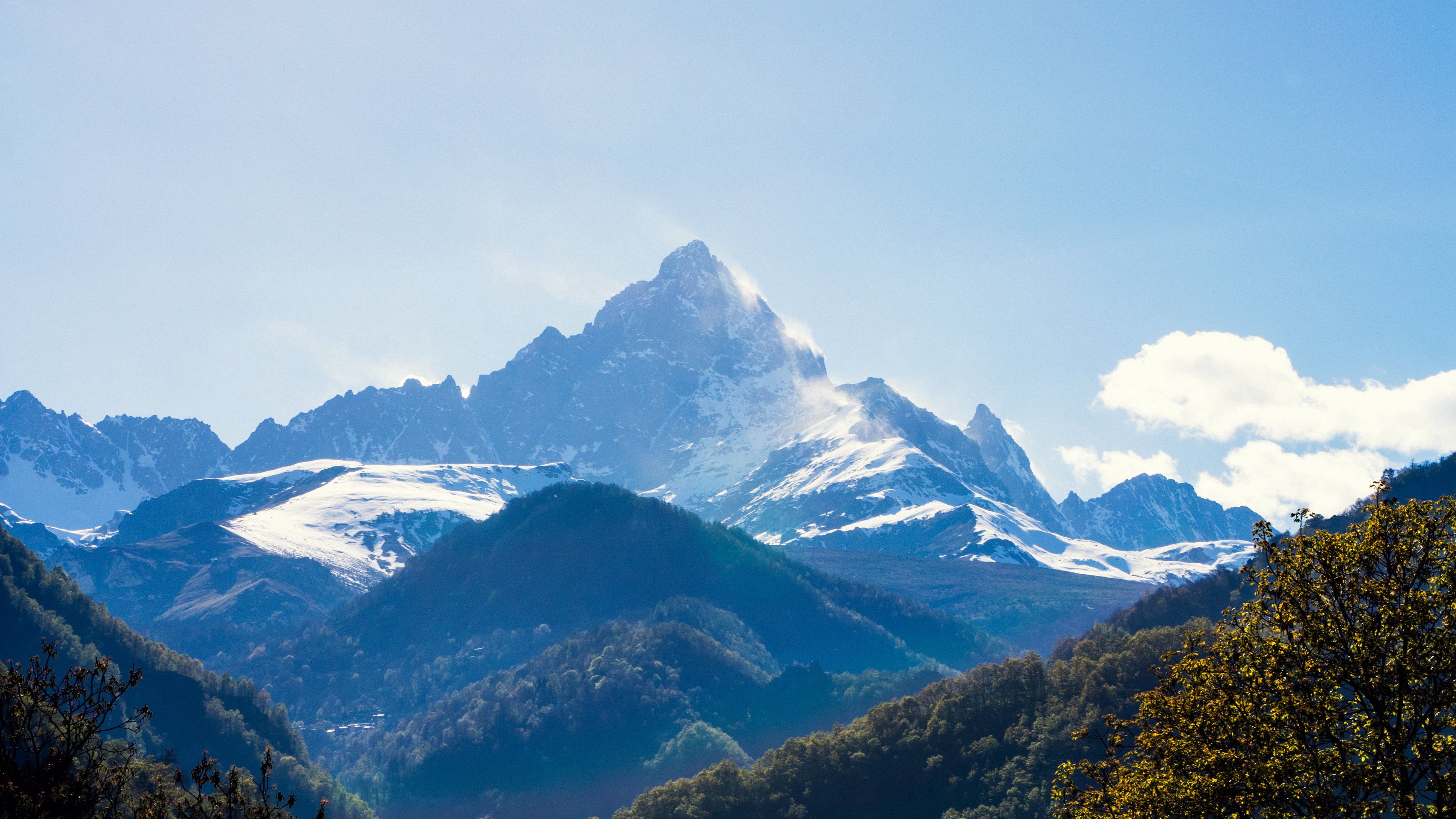 mountains-forest-landscape-trees-peak-mountain-range-4k-hd-wallpaper