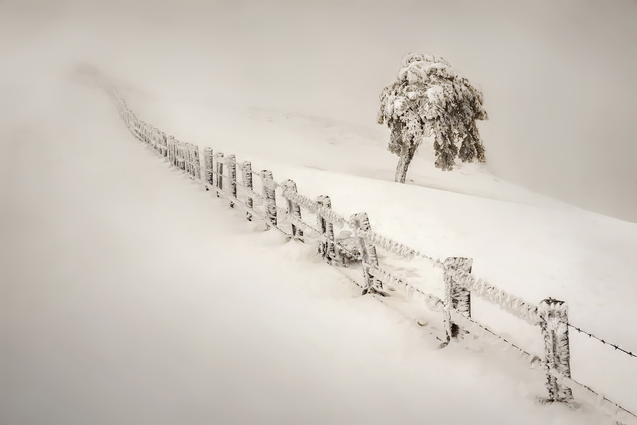 winter, snow, nature, landscape, fence, trees, mist, hill, white, HD Wallpaper