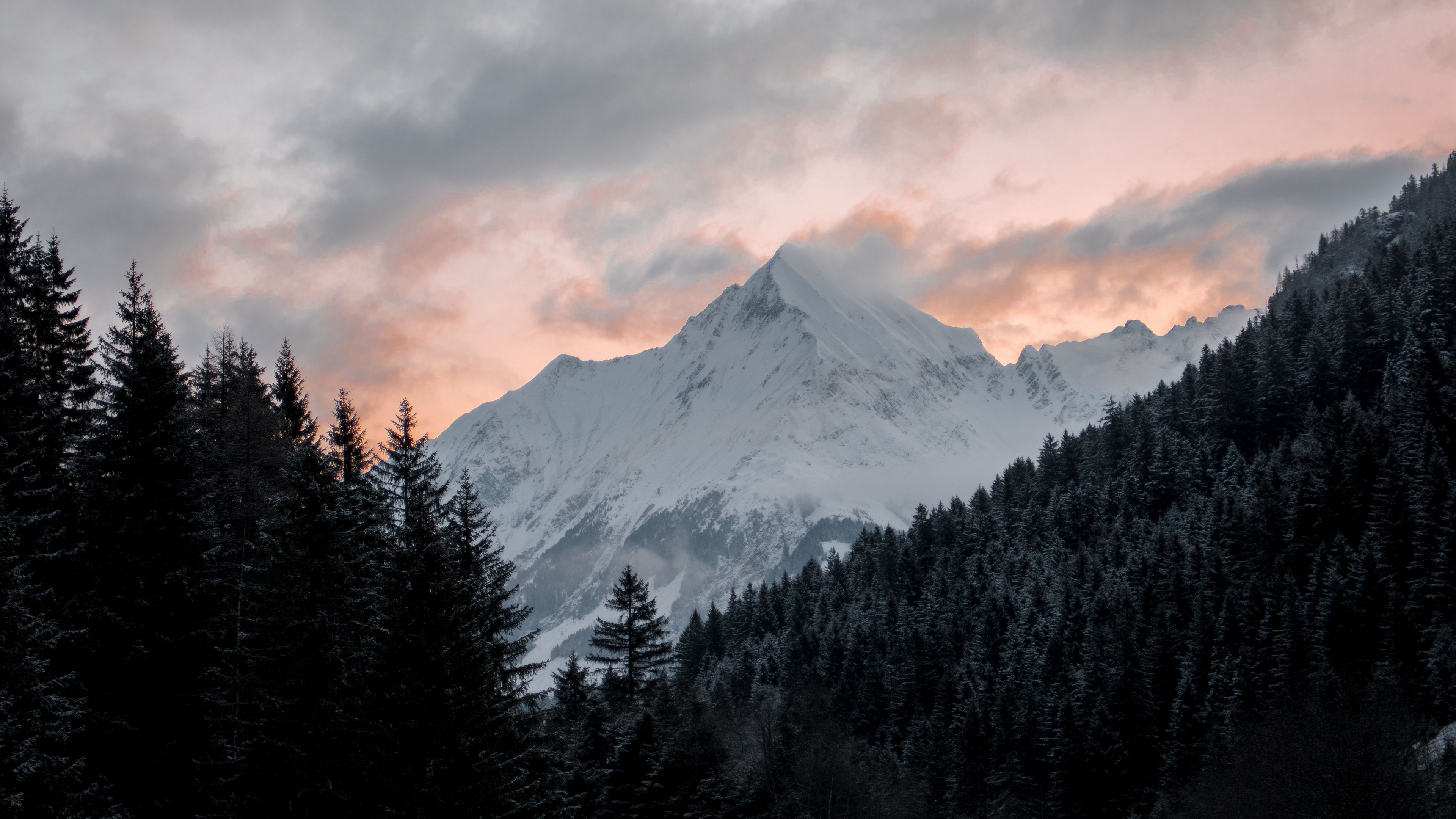 mountain, forest, trees, peak, clouds, landscape, 4k, HD Wallpaper