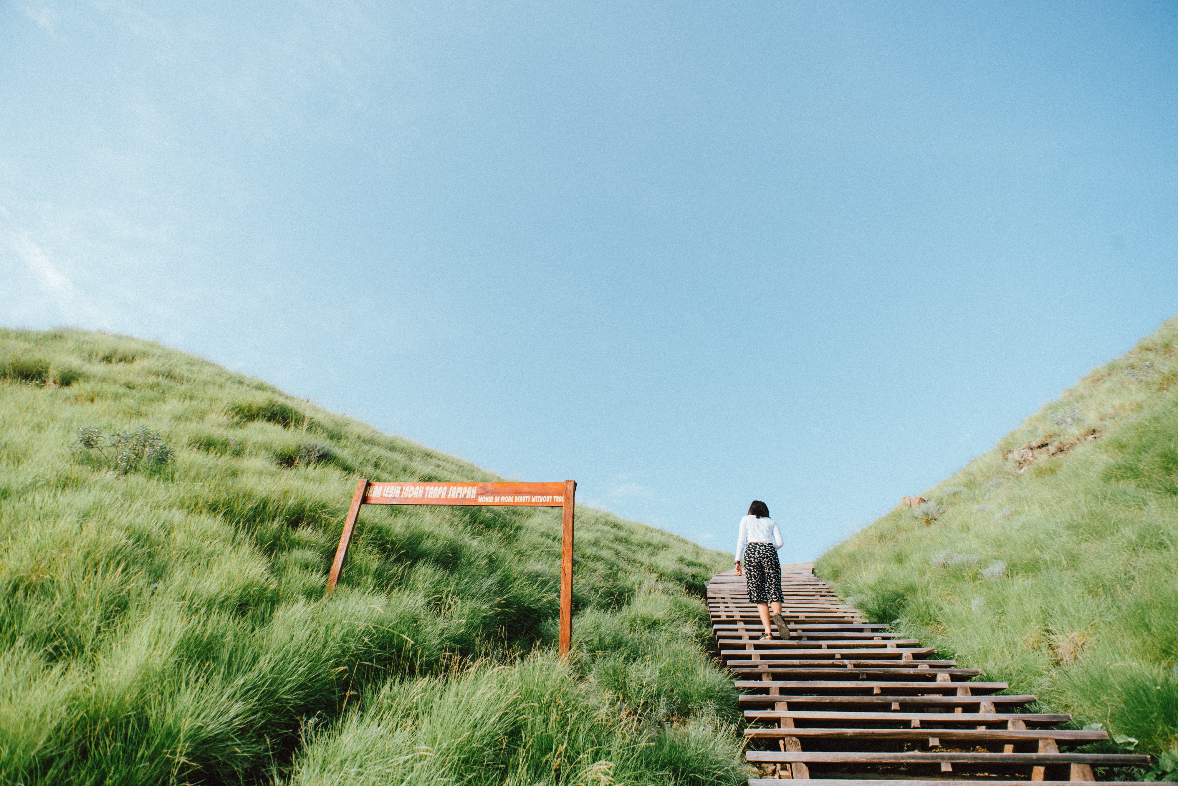 landscape, grass, clear sky, stairs, HD Wallpaper