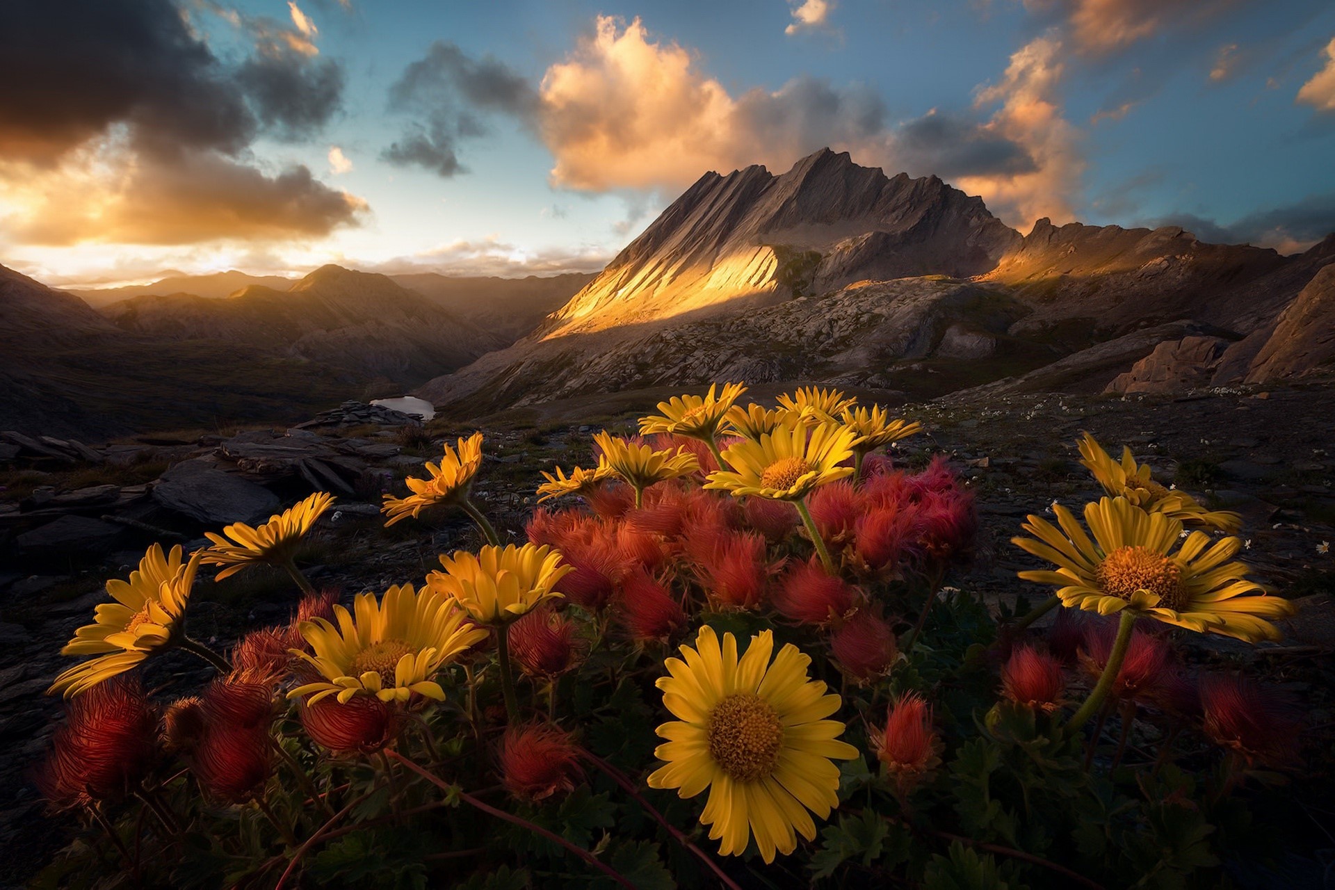 nature, mountains, colorful, flowers, landscape, HD Wallpaper