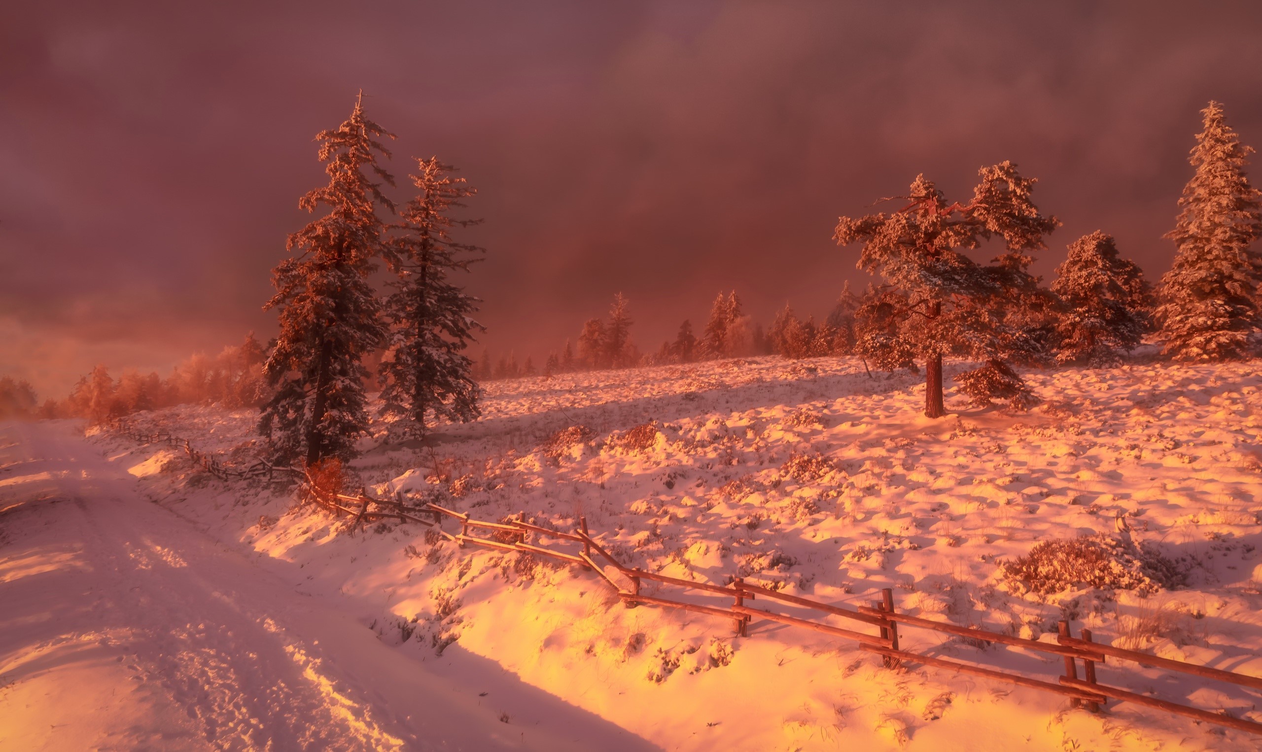 winter, snow, landscape, nature, trees, HD Wallpaper