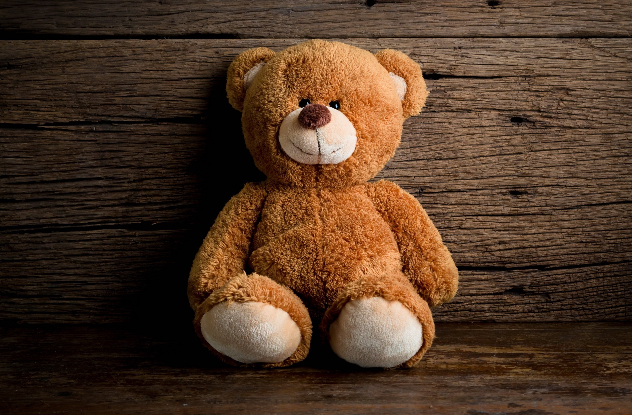 toys, sitting, portrait, teddy bears, model, on the floor, HD Wallpaper