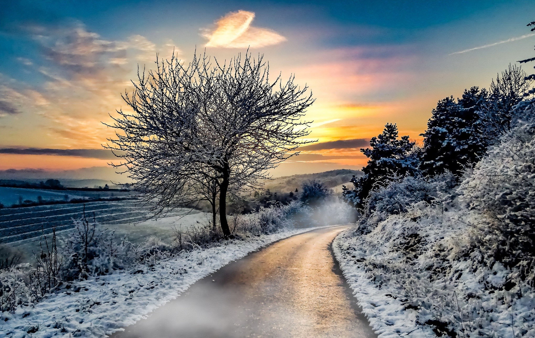 road, winter, snow, landscape, HD Wallpaper