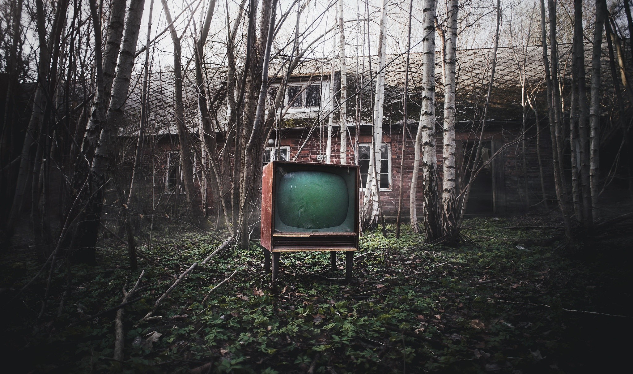 old, house, TV, dark, trees, HD Wallpaper