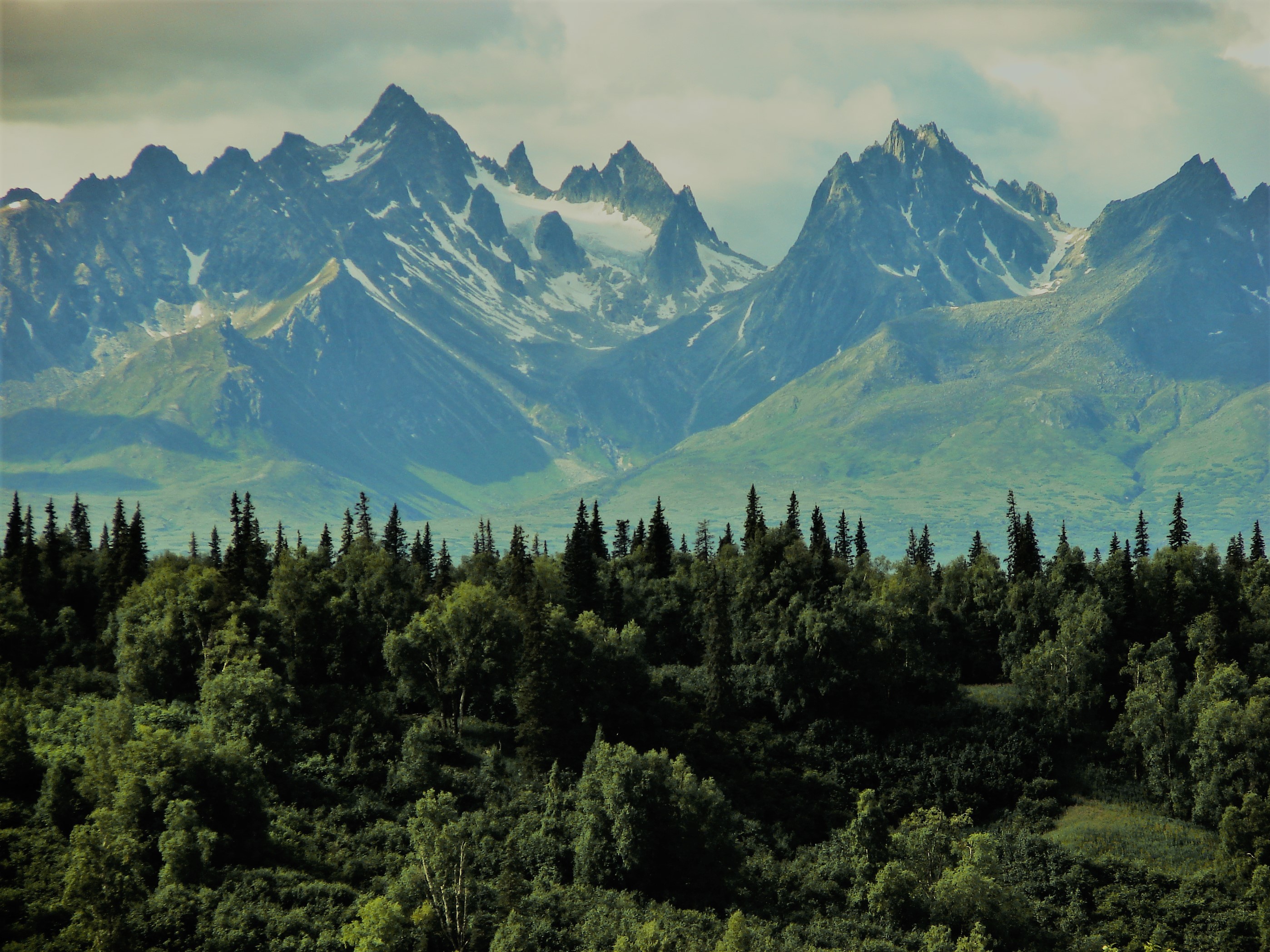 mountains, landscape, wood, HD Wallpaper